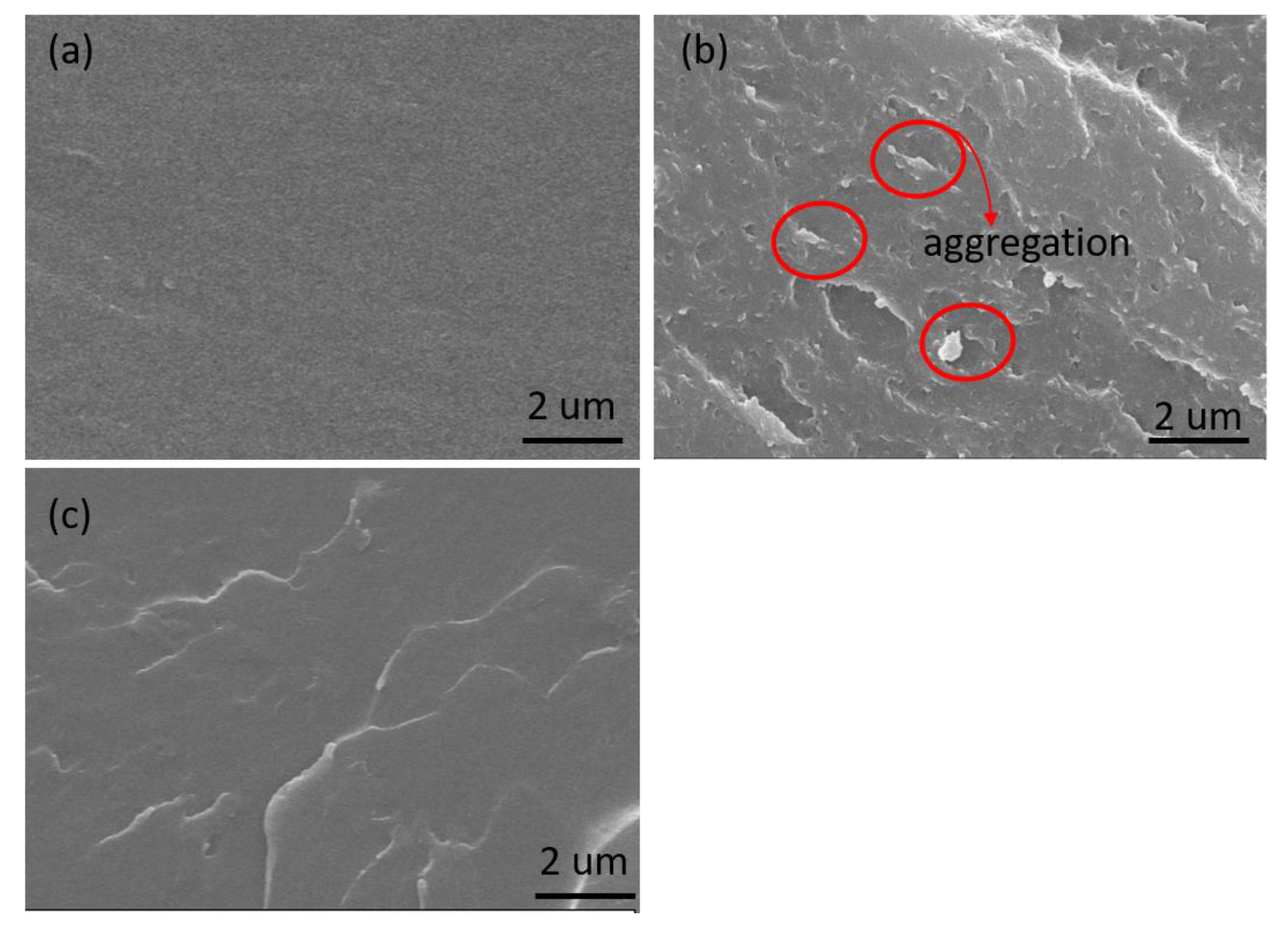 Coatings 11 00178 g006 Coatings 11 00178 g006