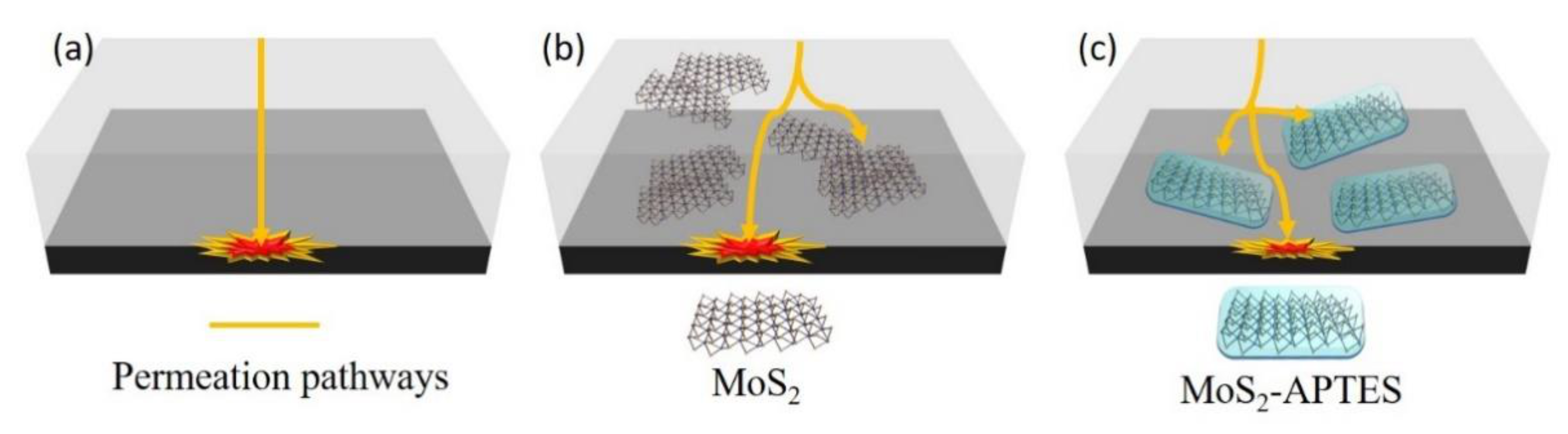 Coatings 11 00178 g011 Coatings 11 00178 g011