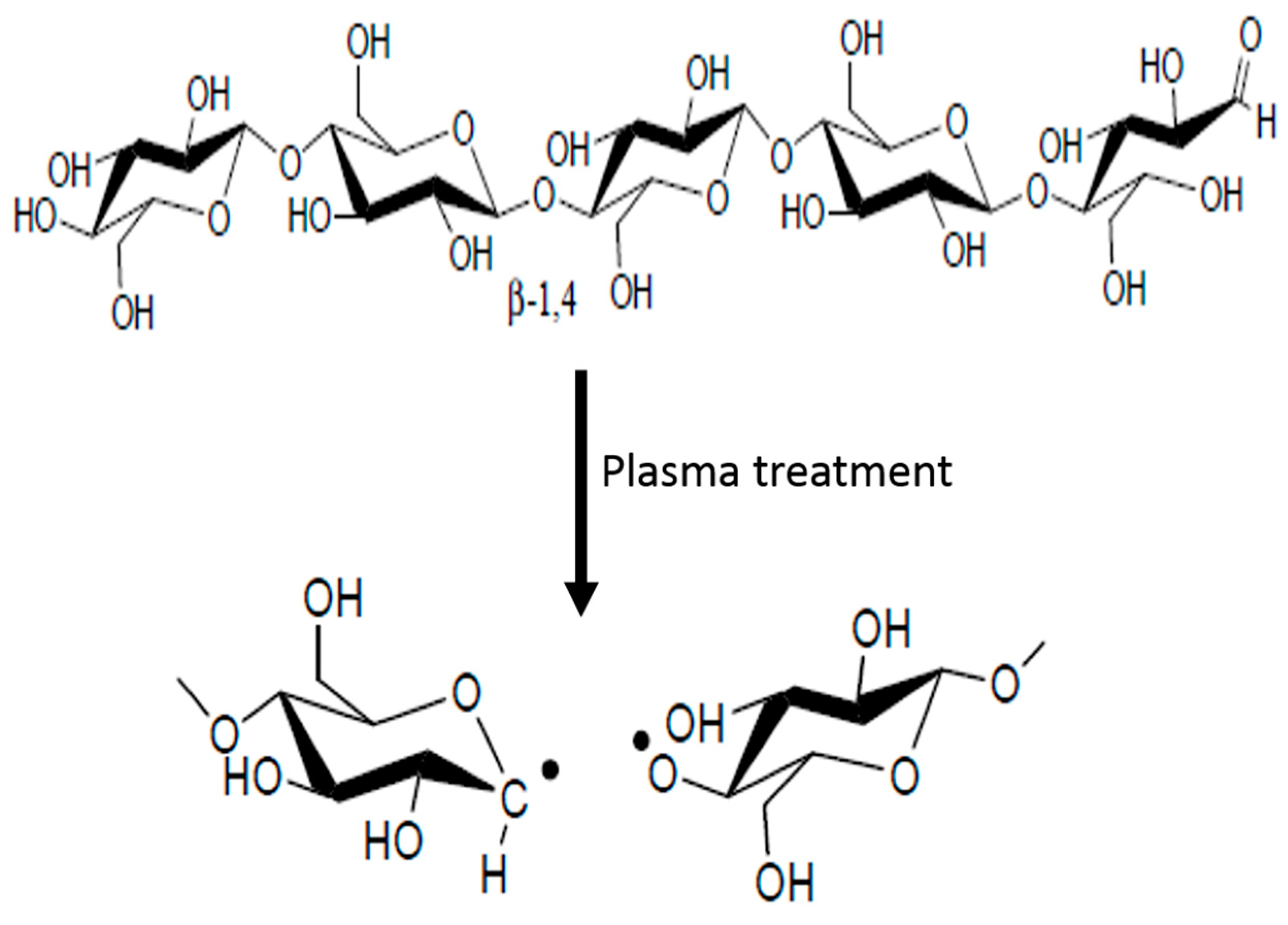 Coatings 11 00179 g001 Coatings 11 00179 g001