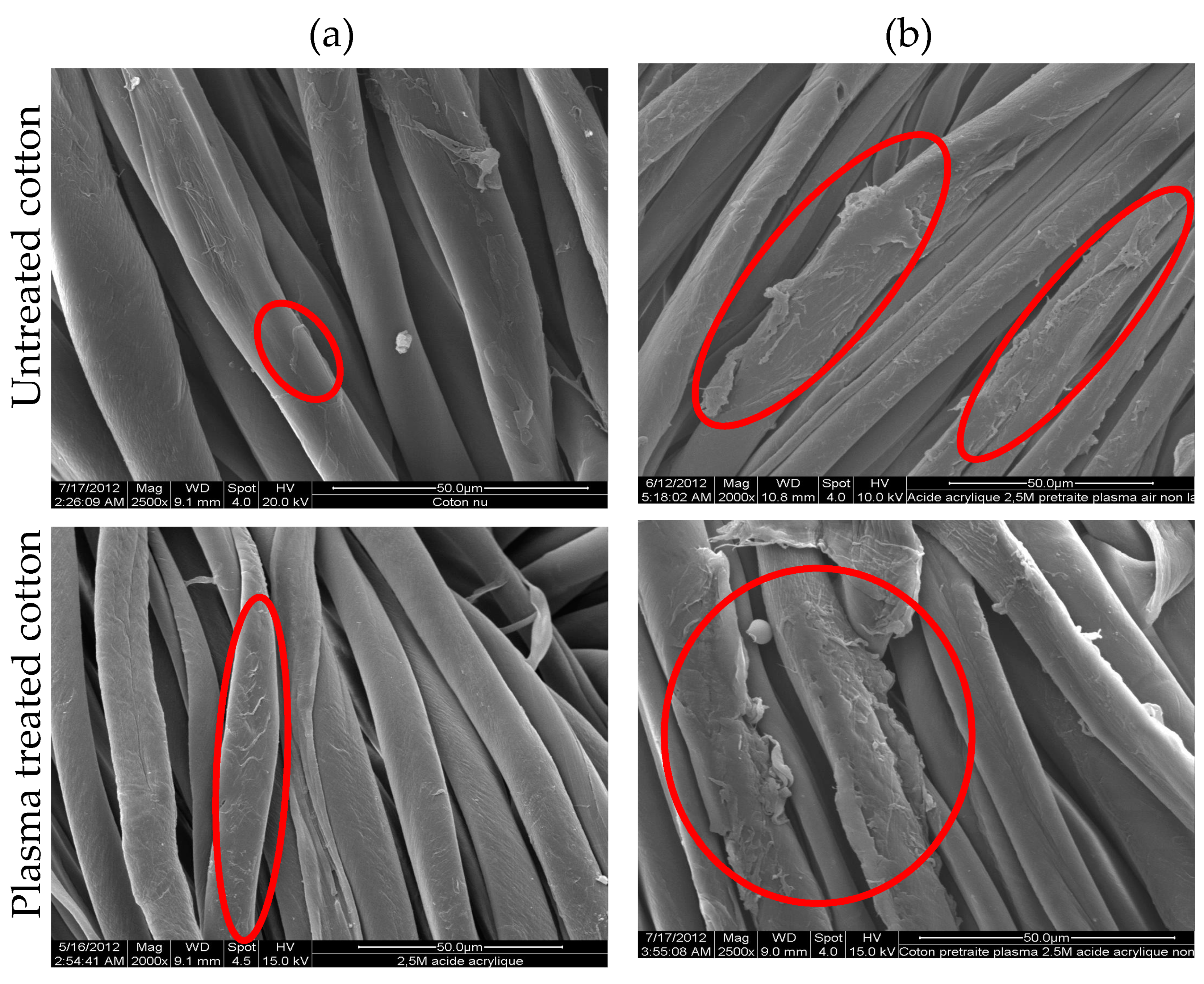 Coatings 11 00179 g002 Coatings 11 00179 g002