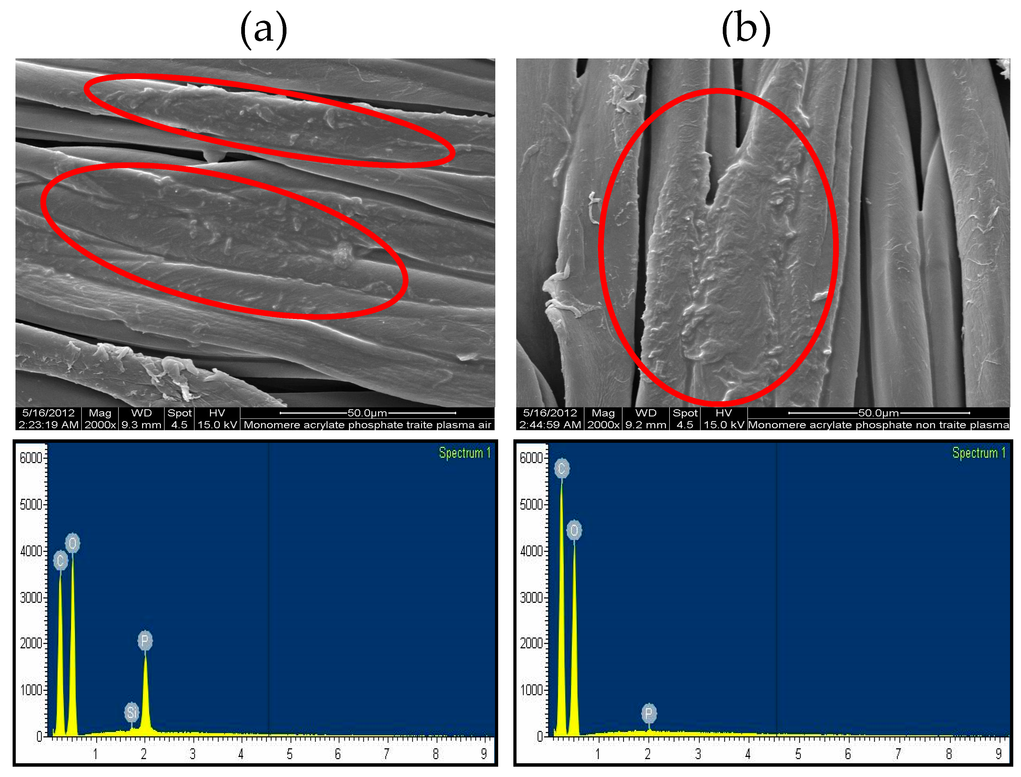 Coatings 11 00179 g003 Coatings 11 00179 g003