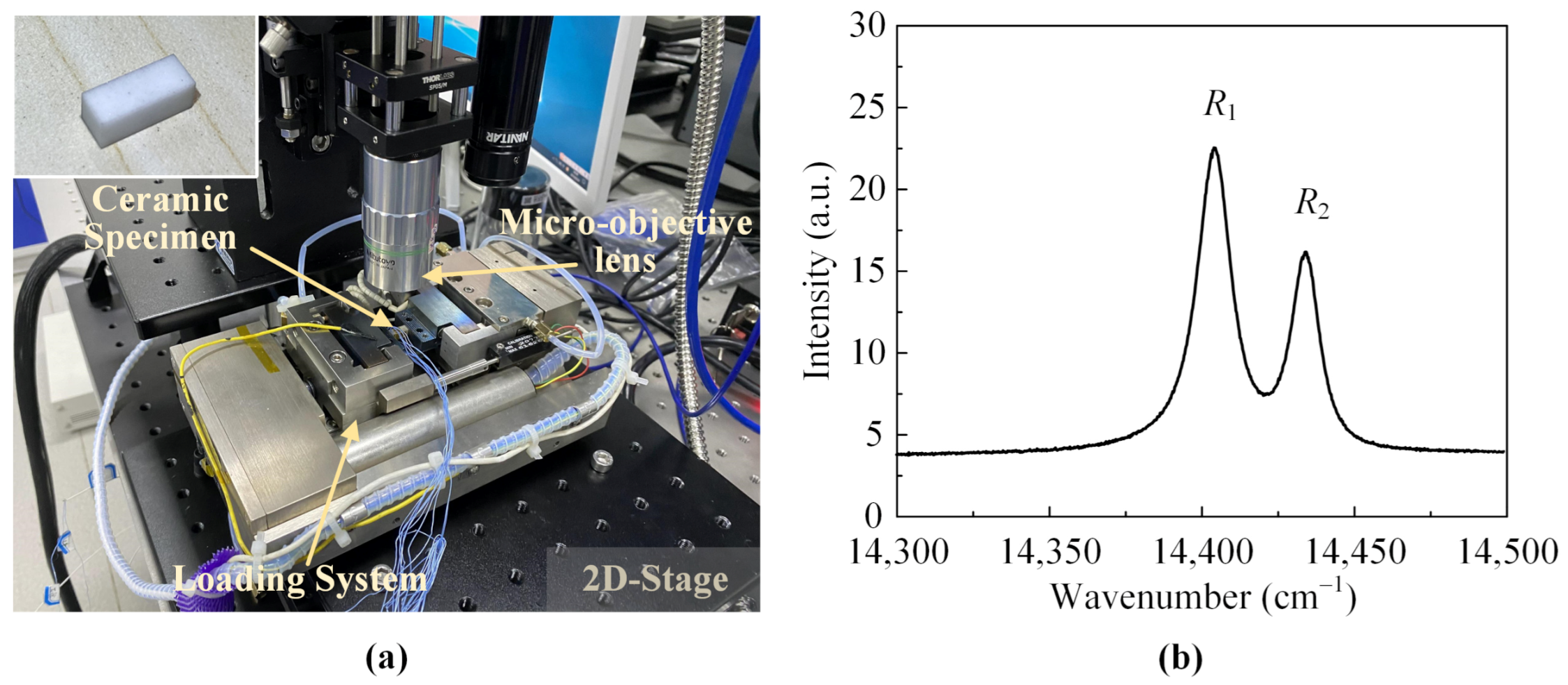 Coatings 11 00181 g001 Coatings 11 00181 g001
