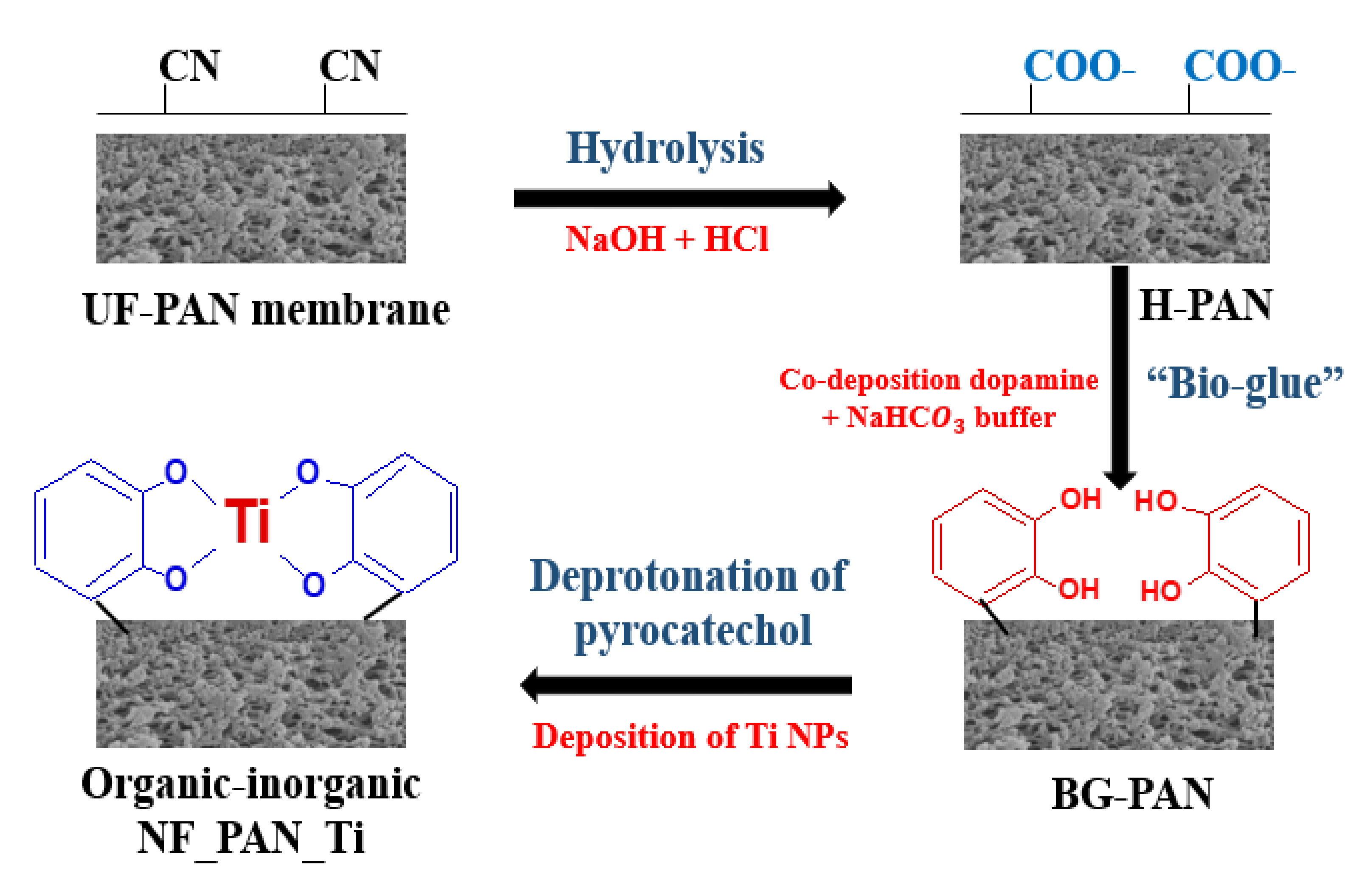 Coatings 11 00184 g003 Coatings 11 00184 g003