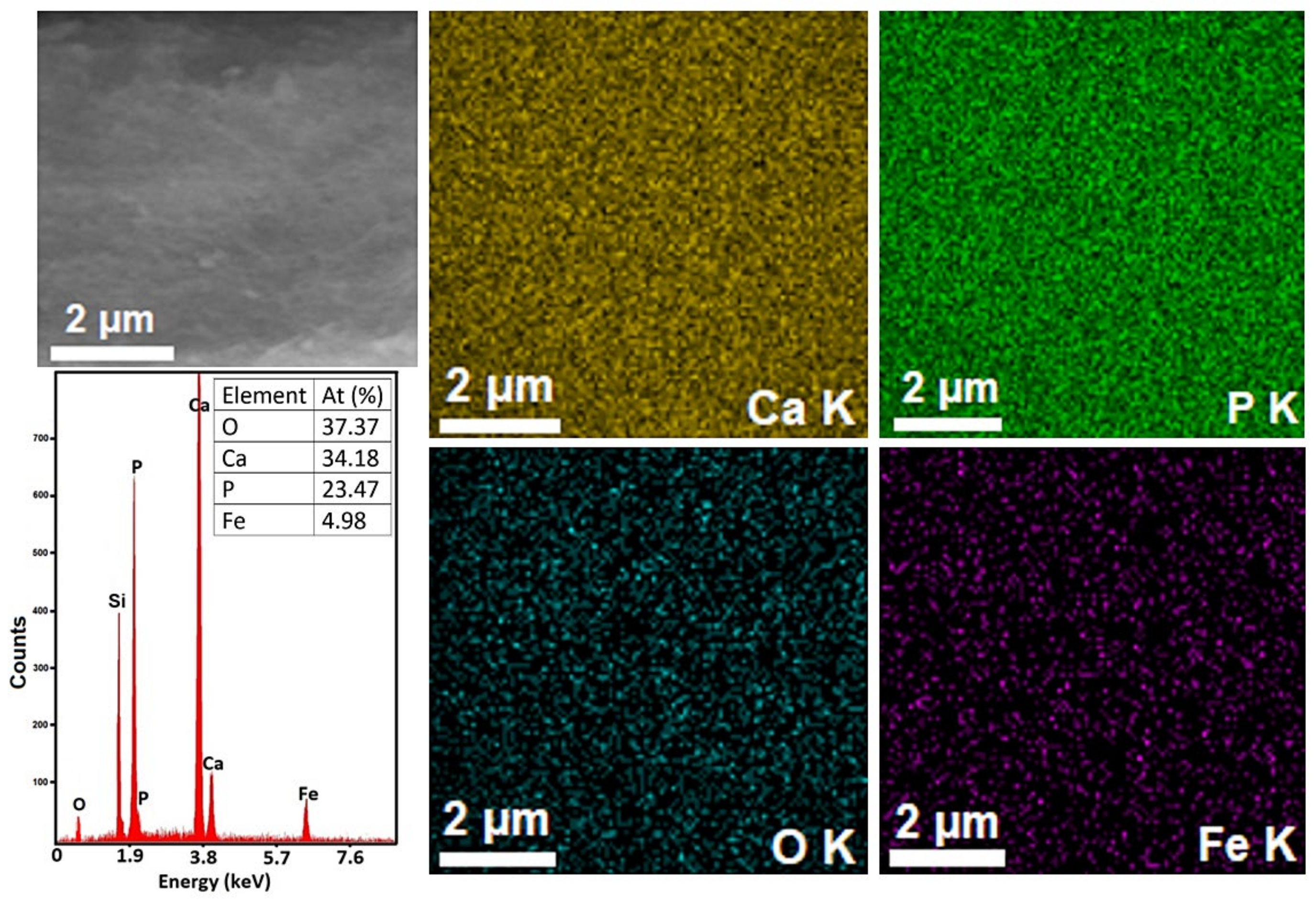 Coatings 11 00186 g006
