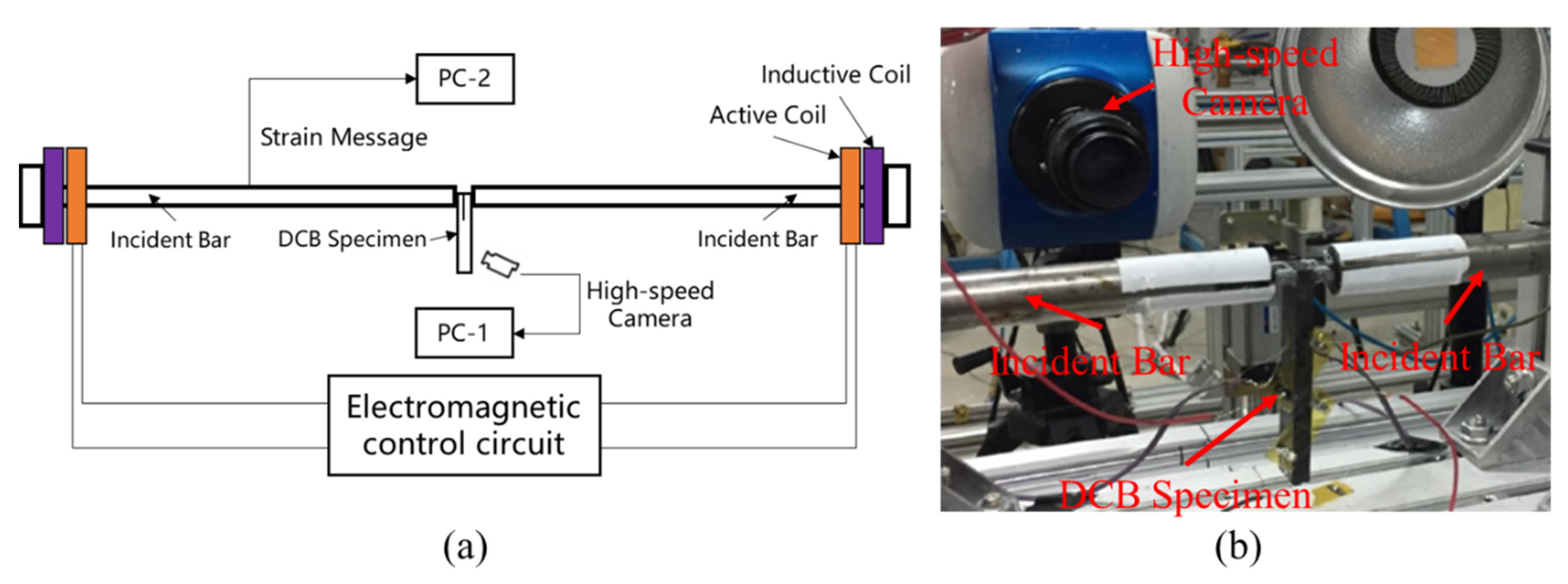 Coatings 11 00191 g001