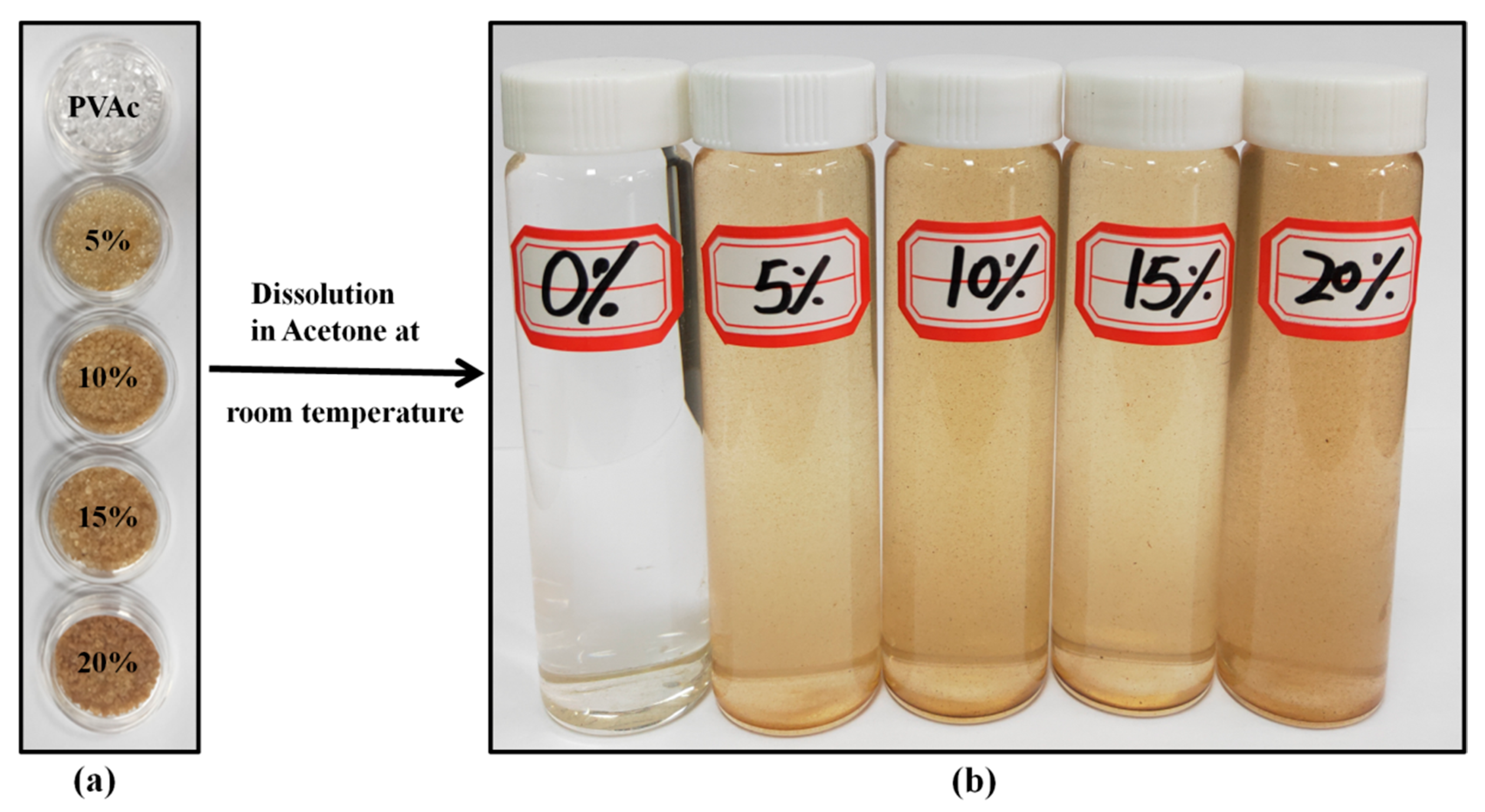 Coatings 11 00192 g001