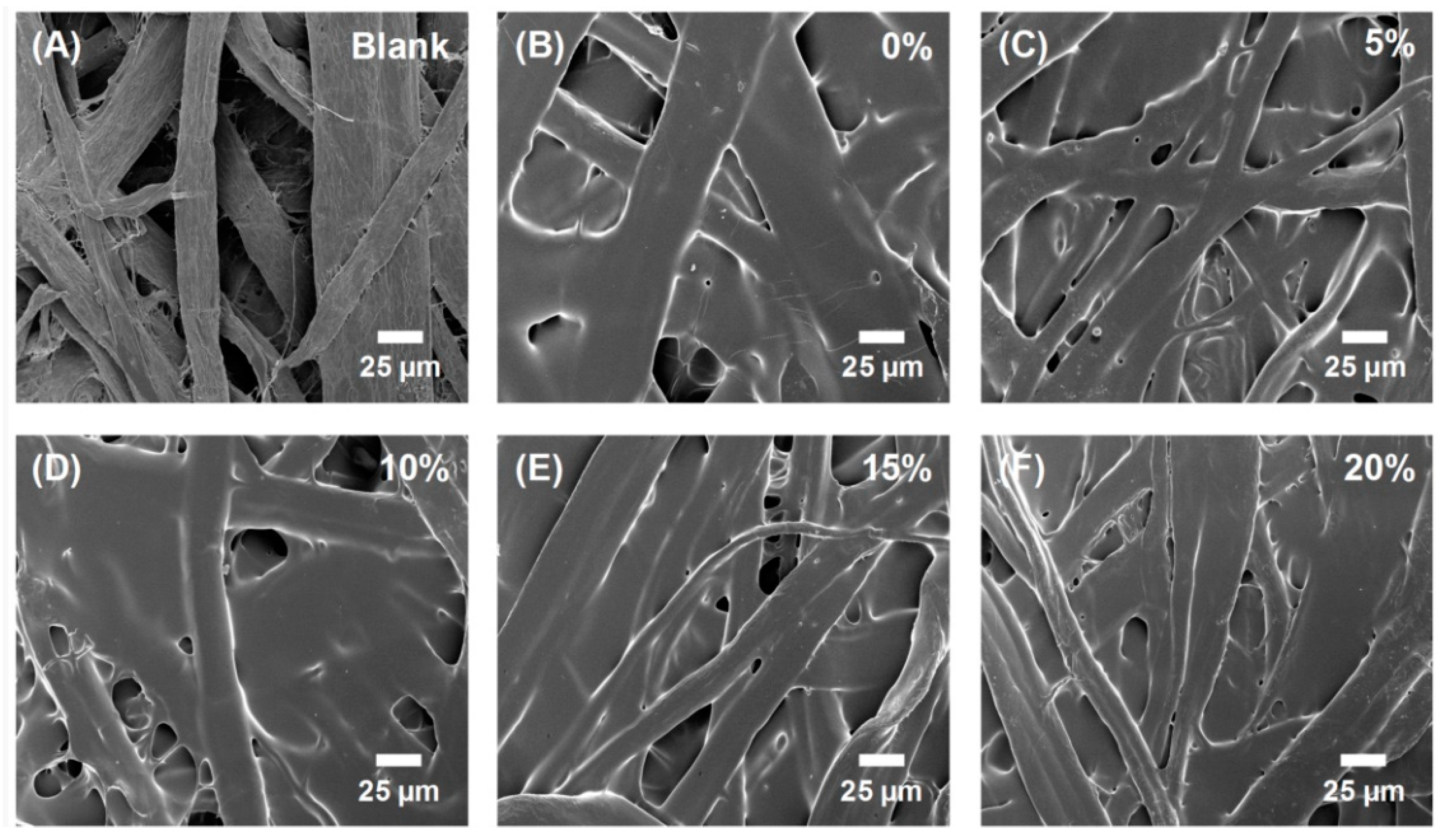 Coatings 11 00192 g002