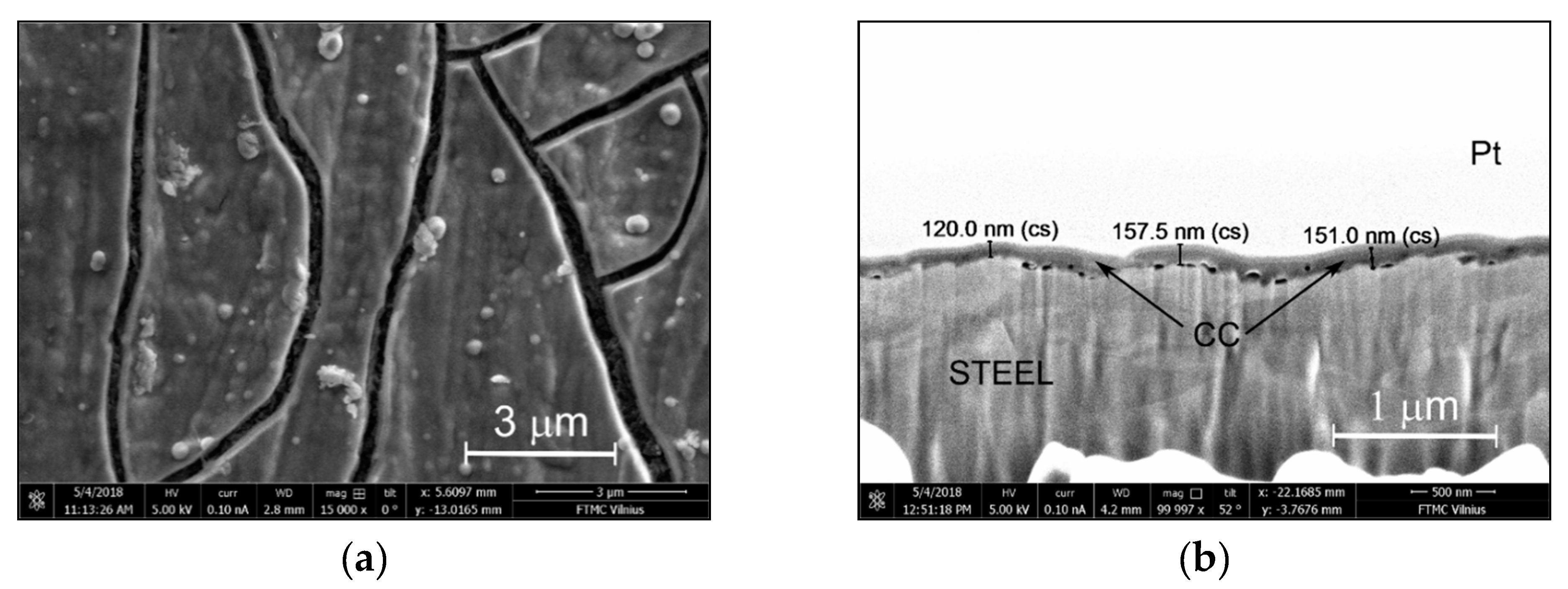 Coatings 11 00194 g002a