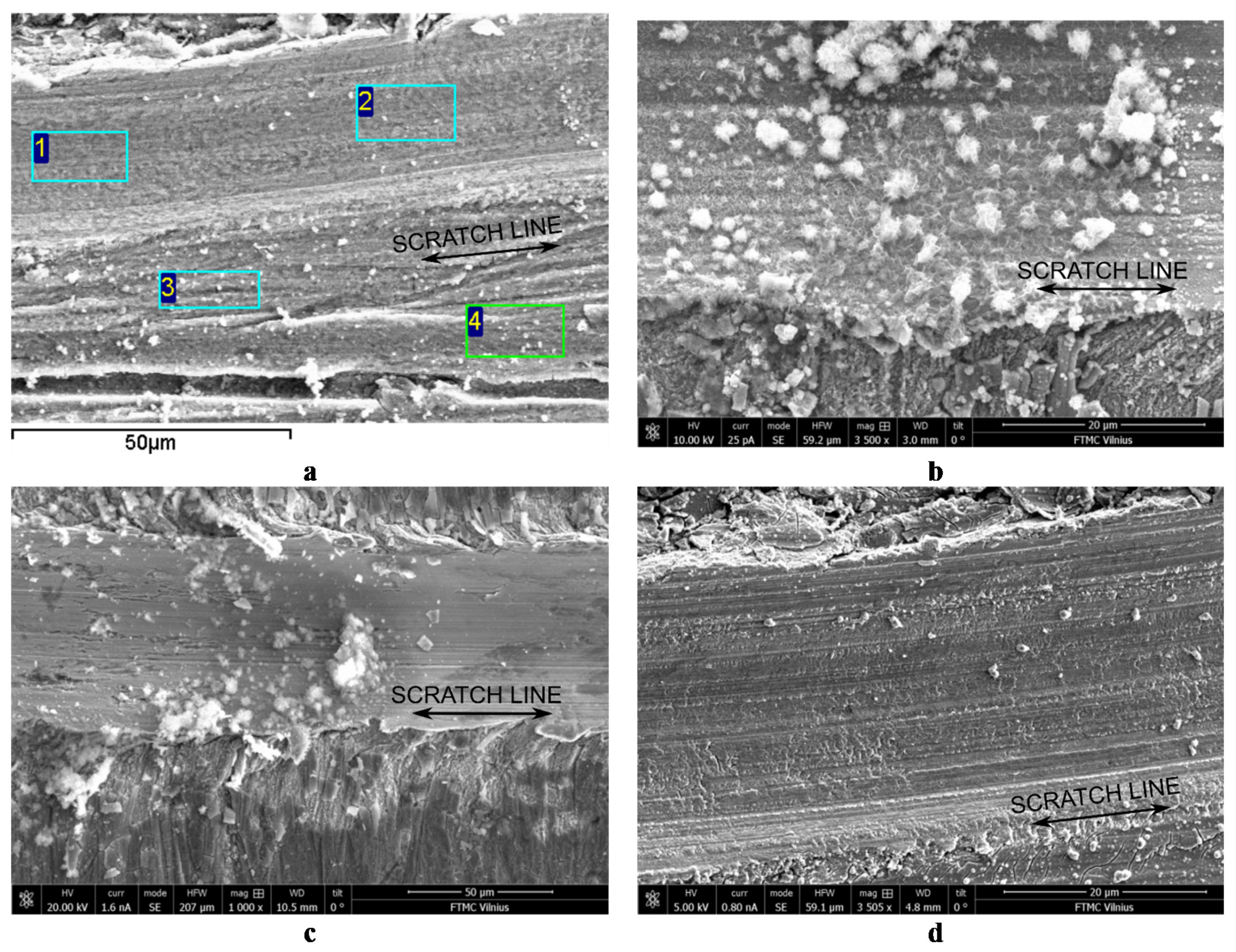 Coatings 11 00194 g007