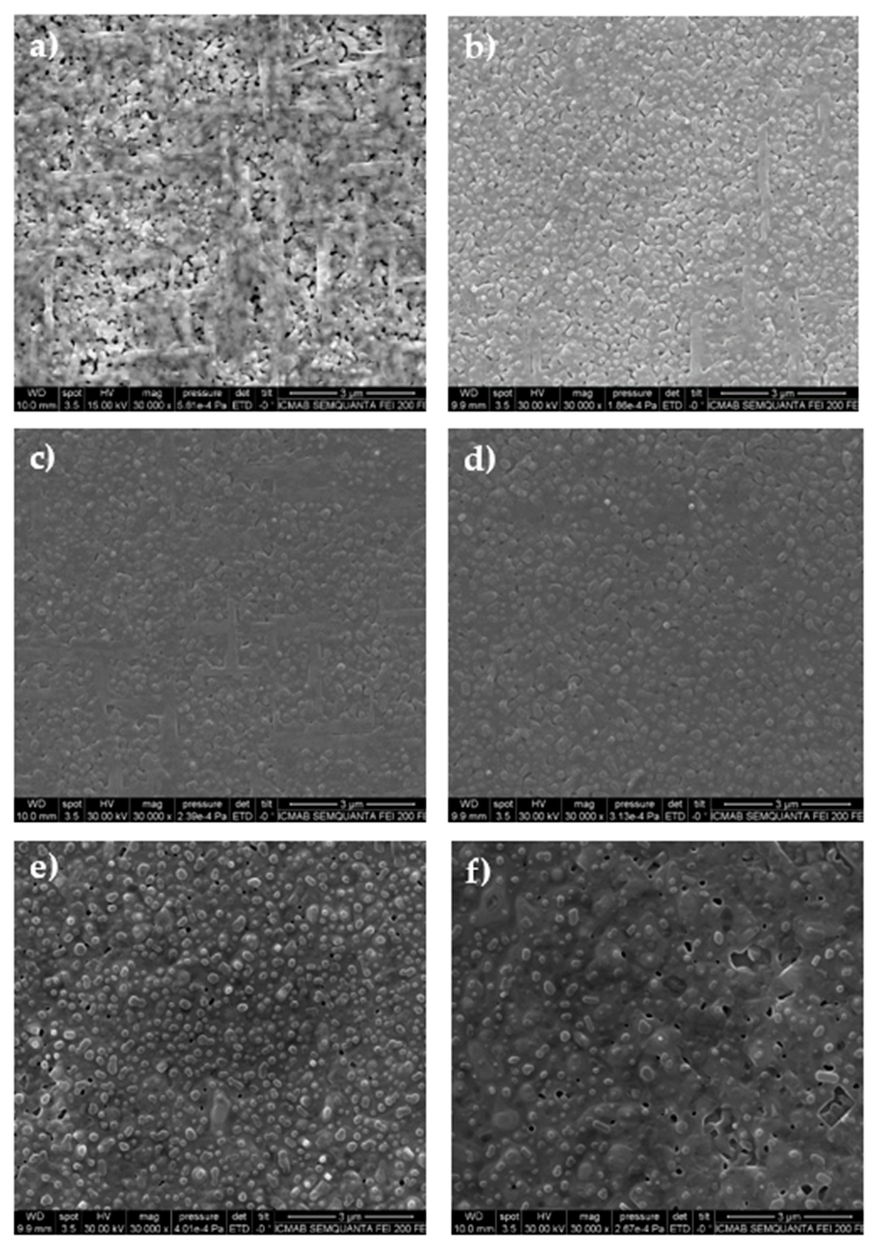 Coatings 11 00199 g002