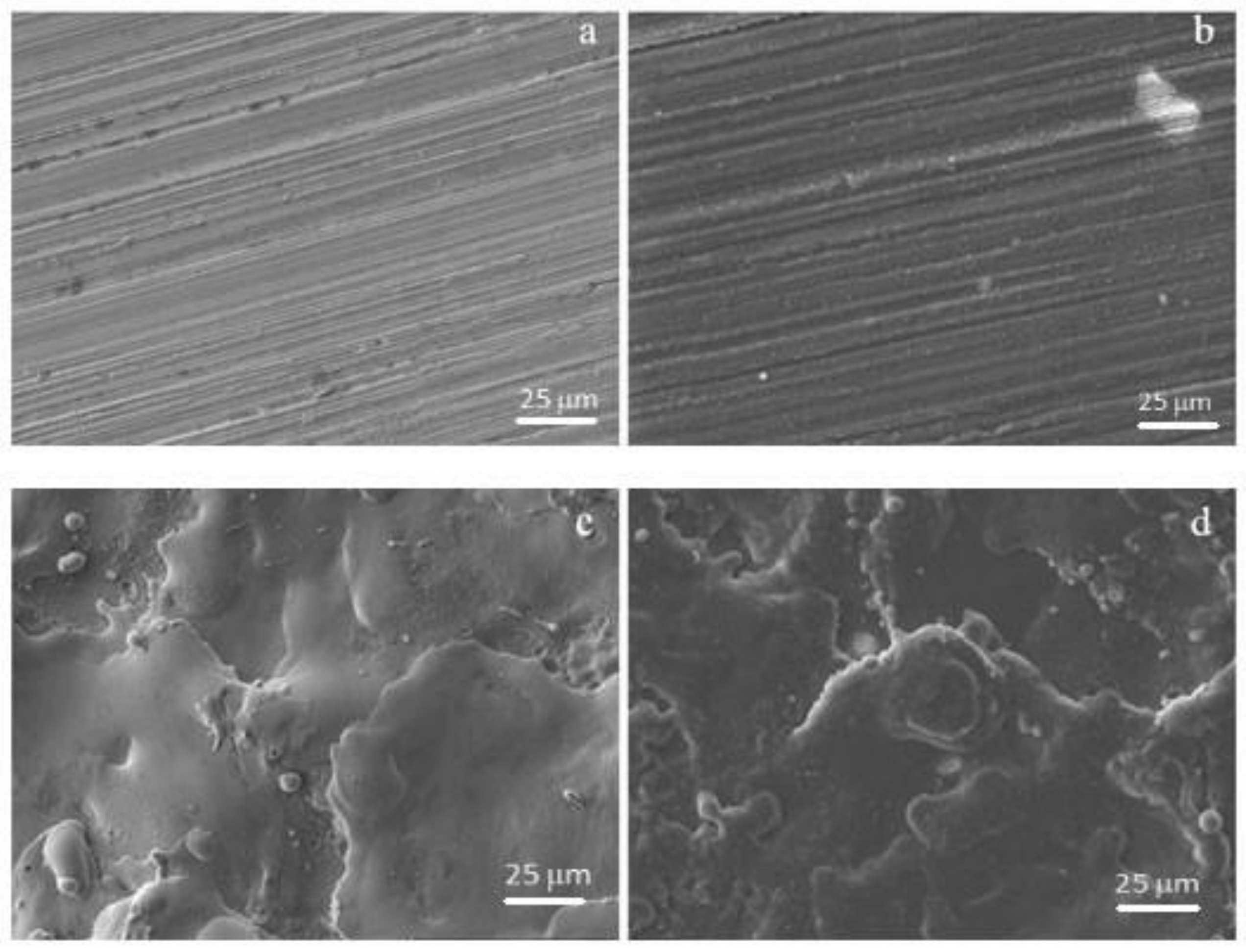 Coatings 11 00201 g002