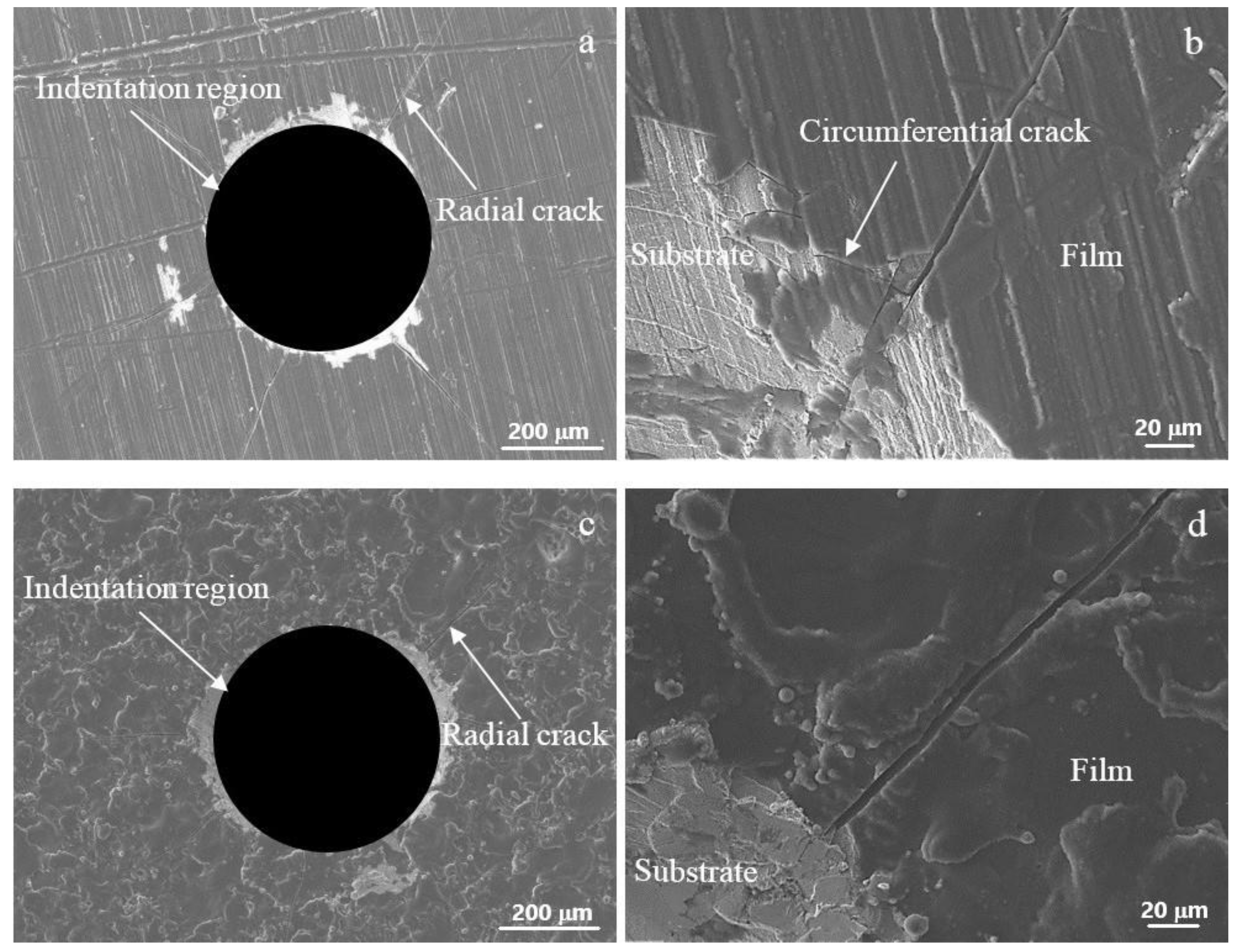 Coatings 11 00201 g008