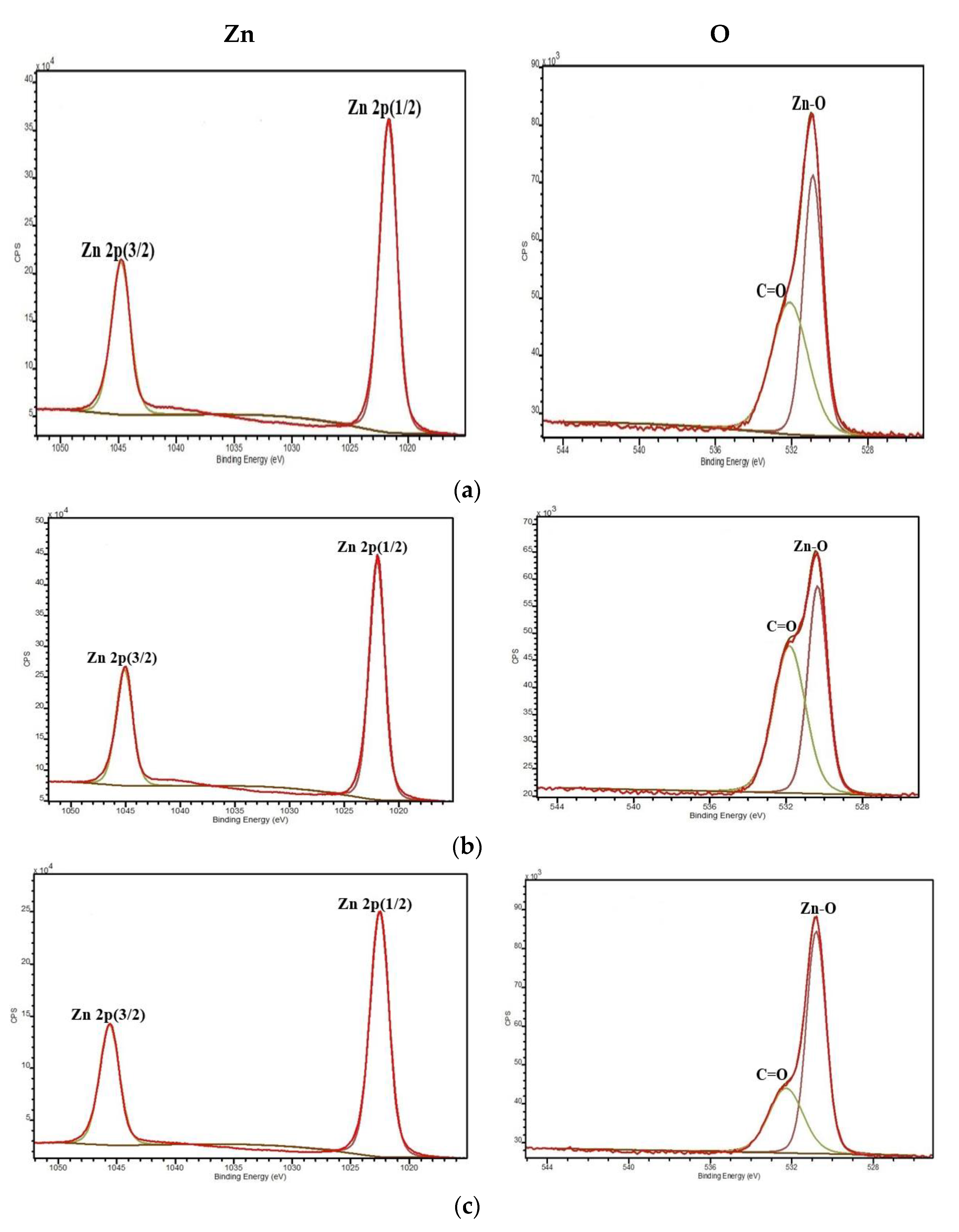 Coatings 11 00202 g002