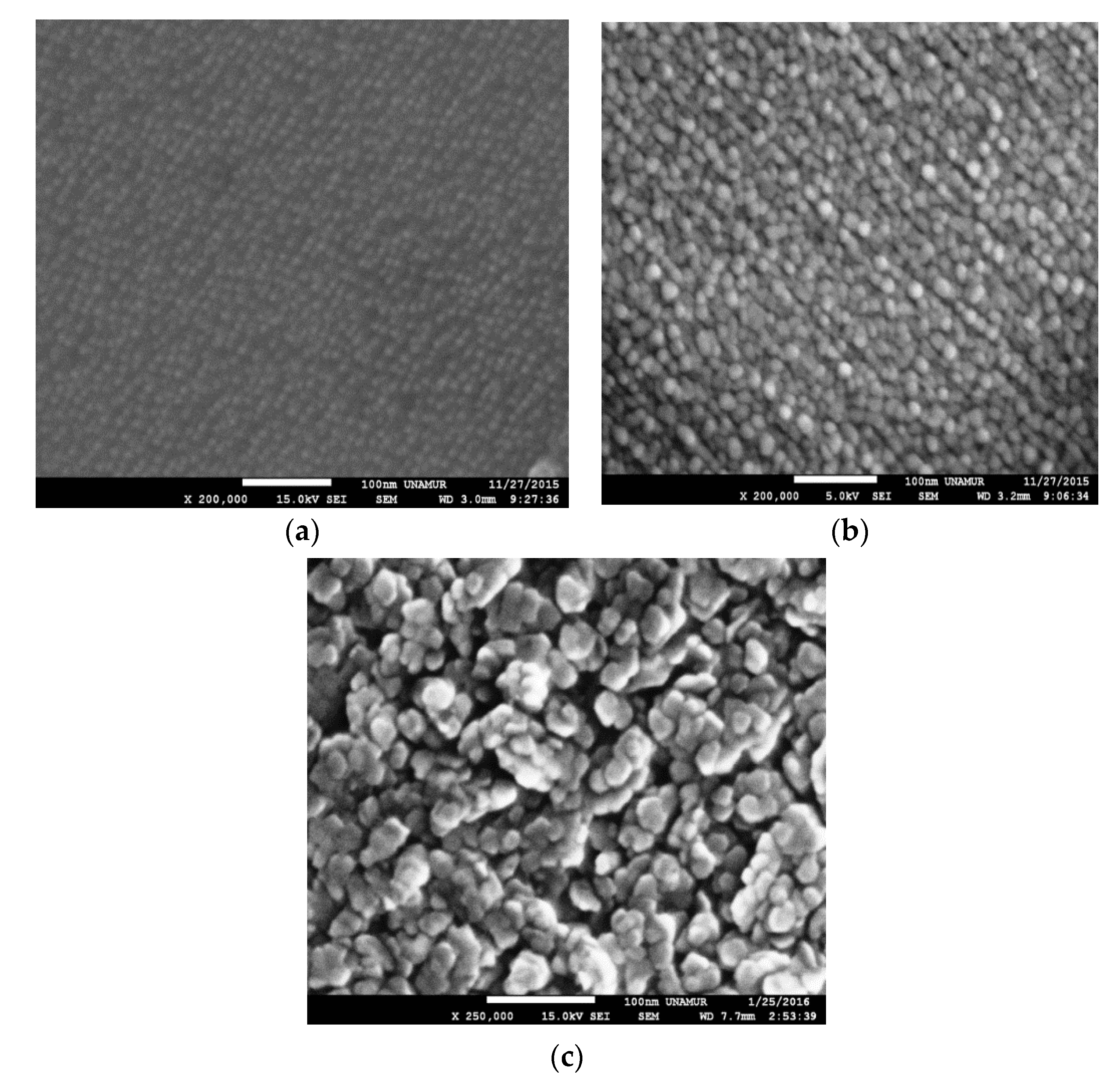 Coatings 11 00202 g004