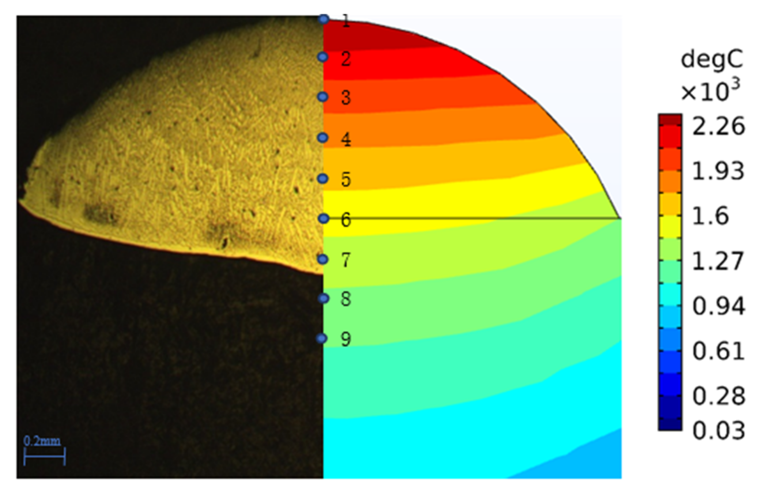 Coatings 11 00203 g011