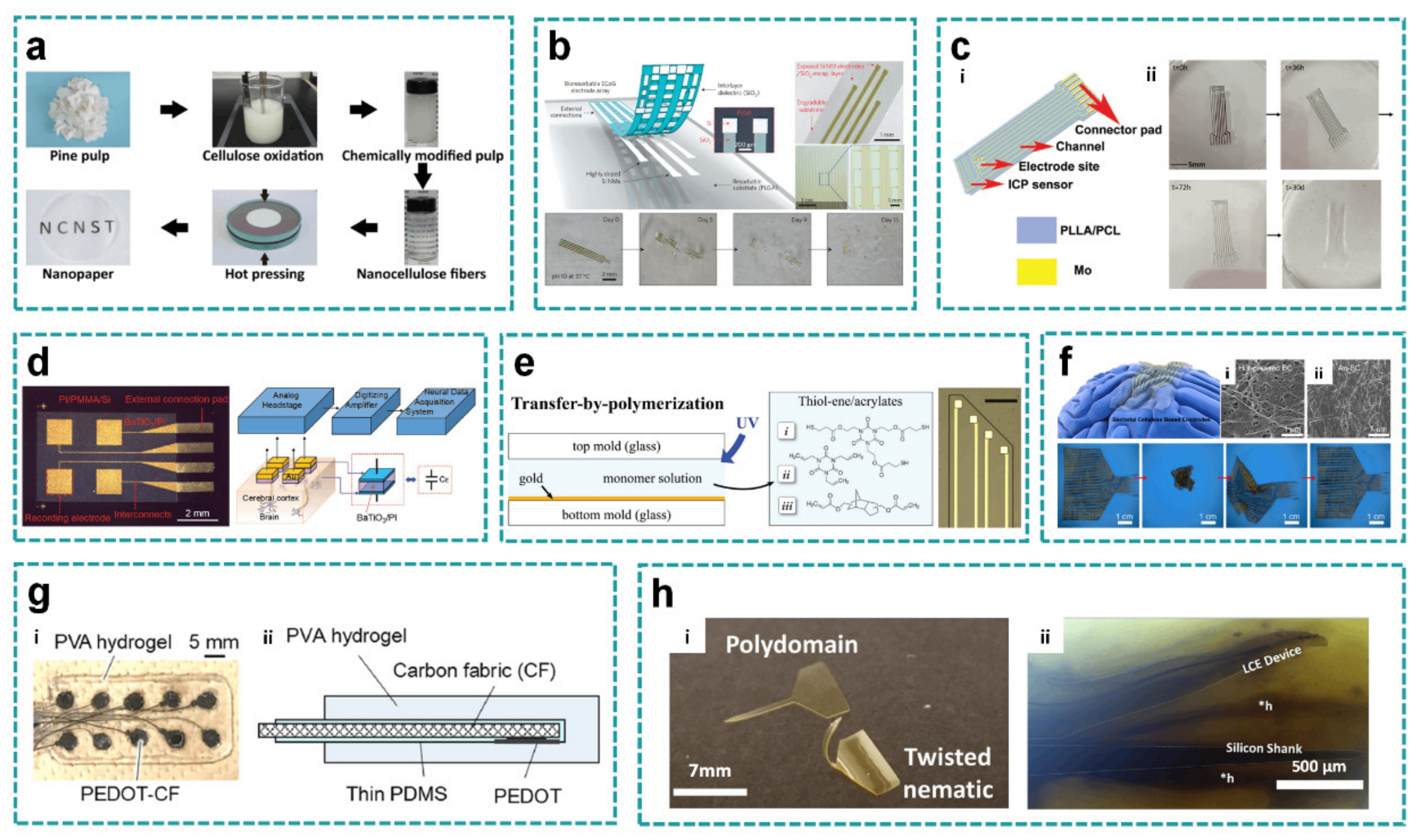 Coatings 11 00204 g007 Coatings 11 00204 g007