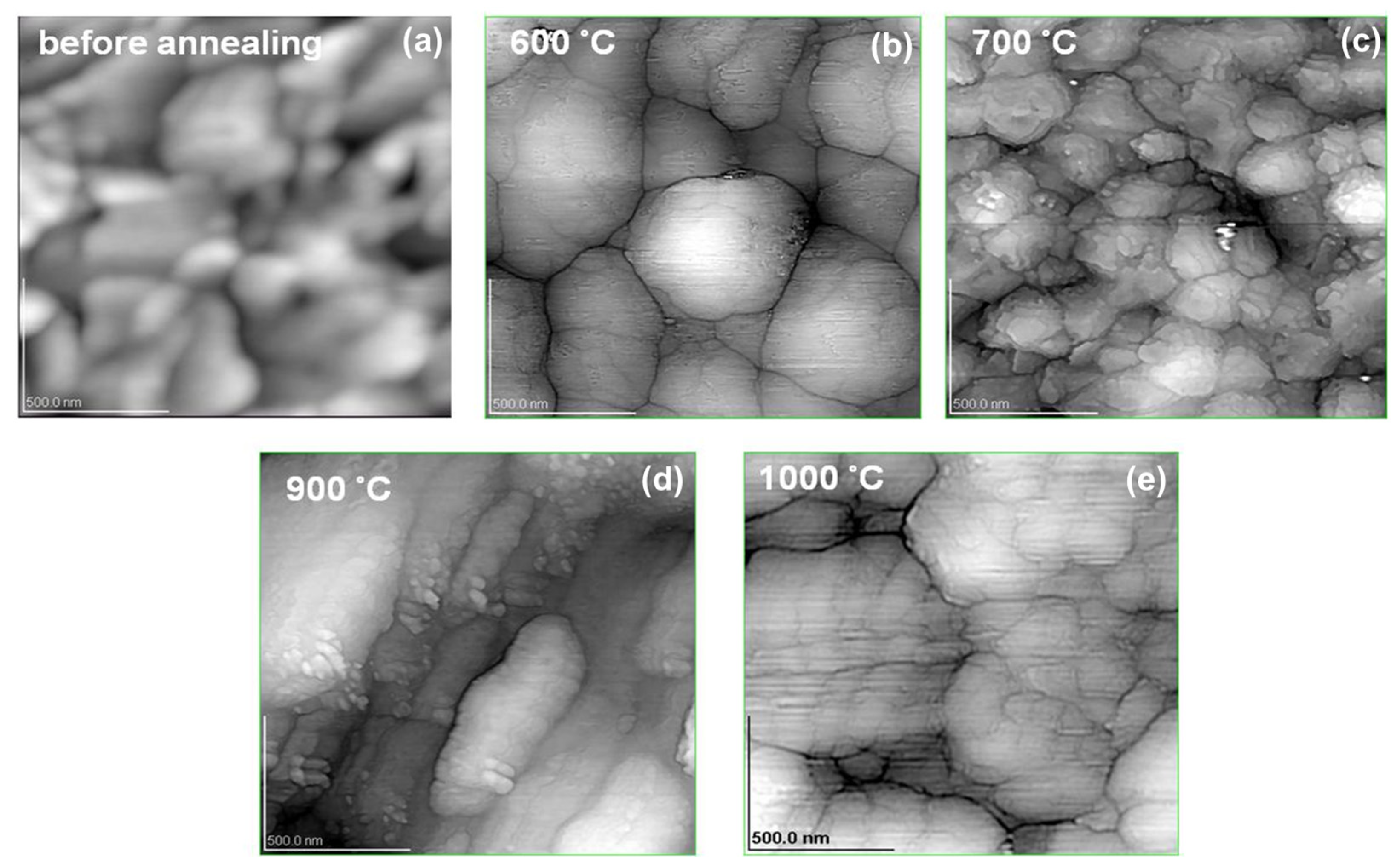 Coatings 11 00205 g004 Coatings 11 00205 g004