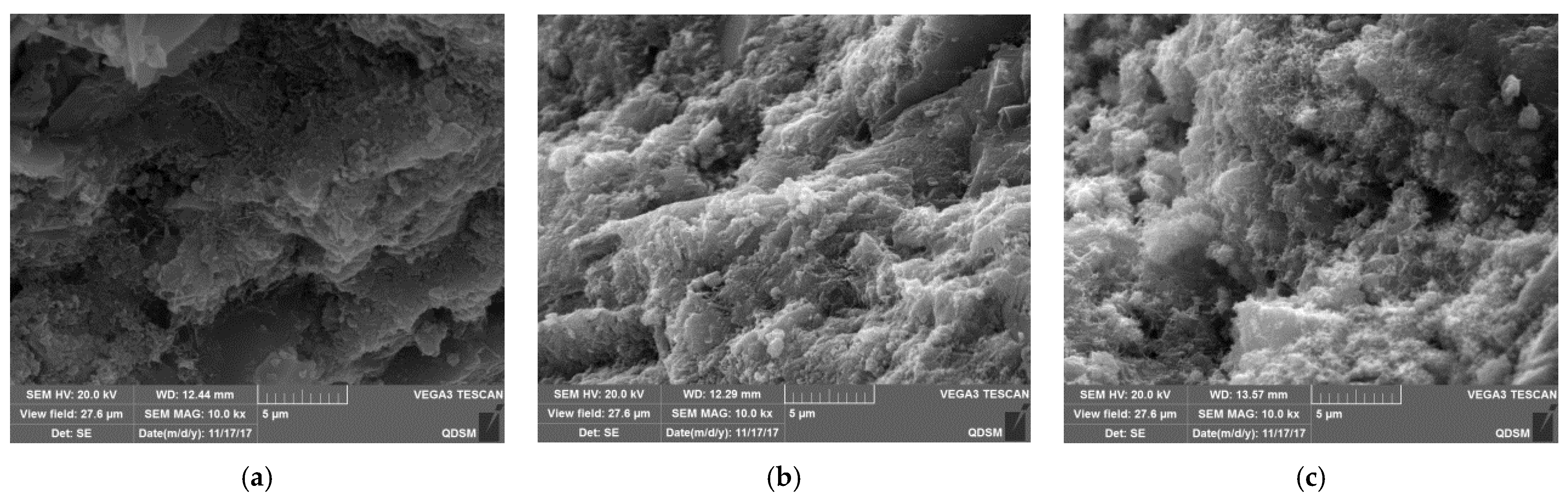 Coatings 11 00208 g012