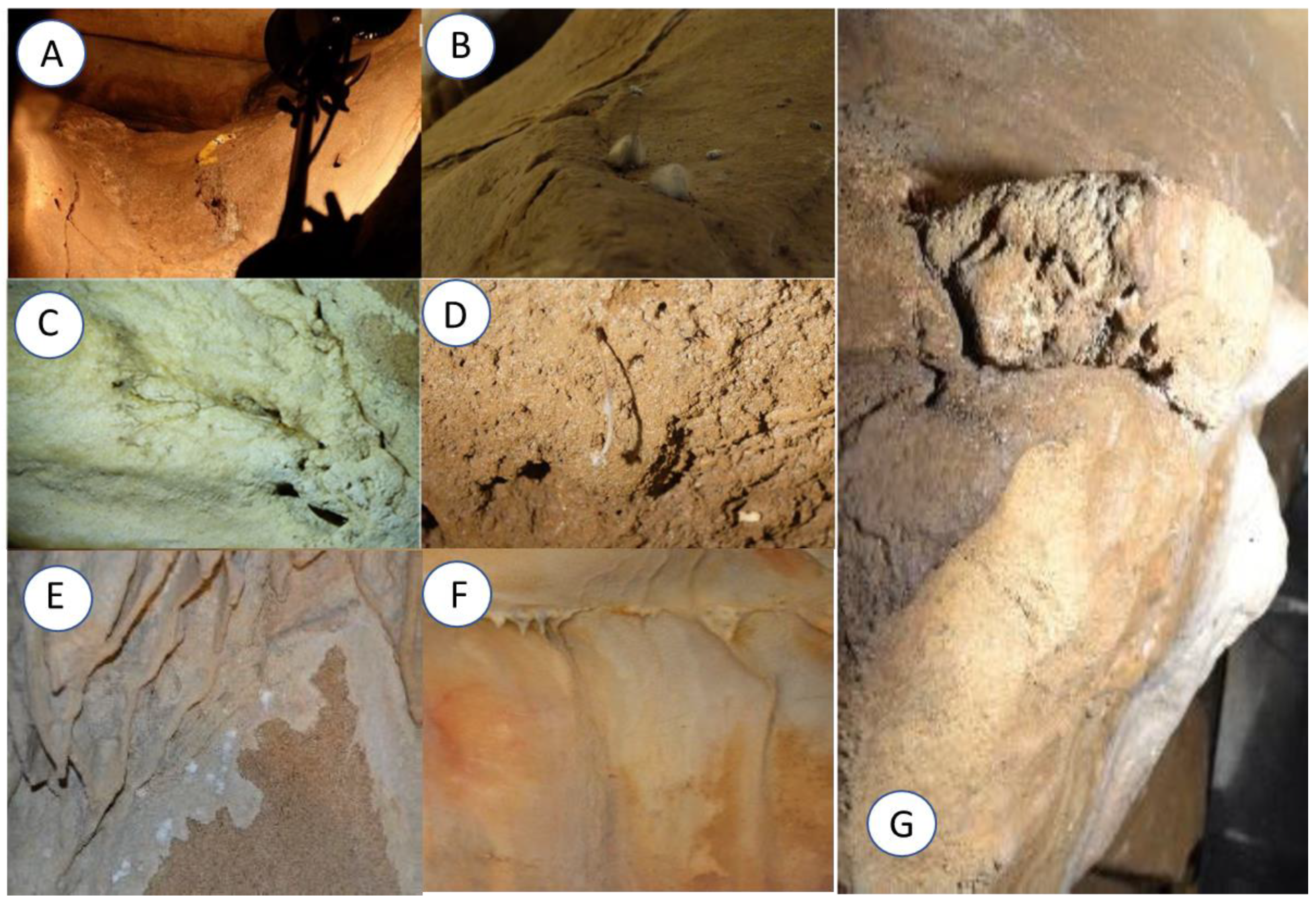Coatings 11 00209 g001