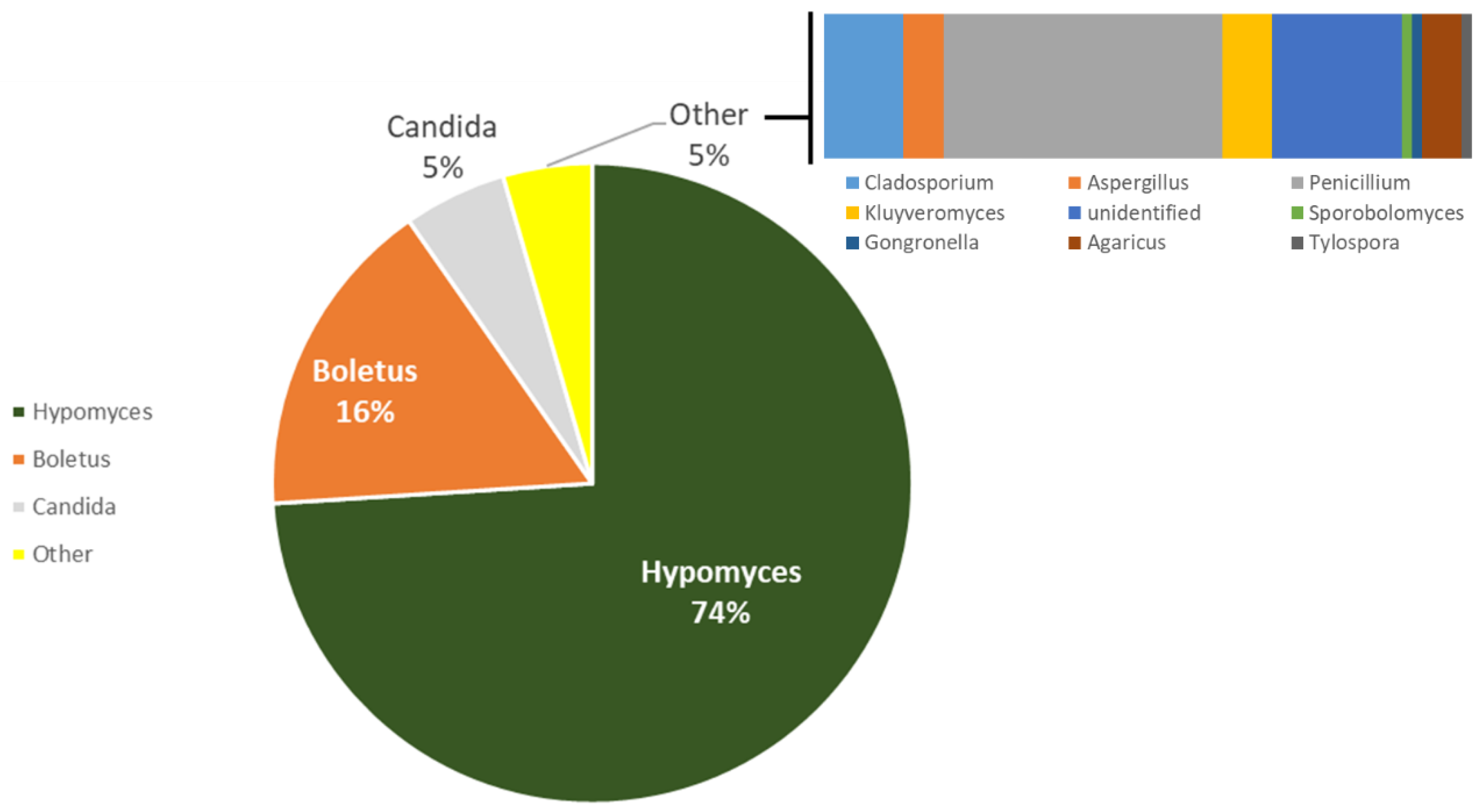 Coatings 11 00209 g004