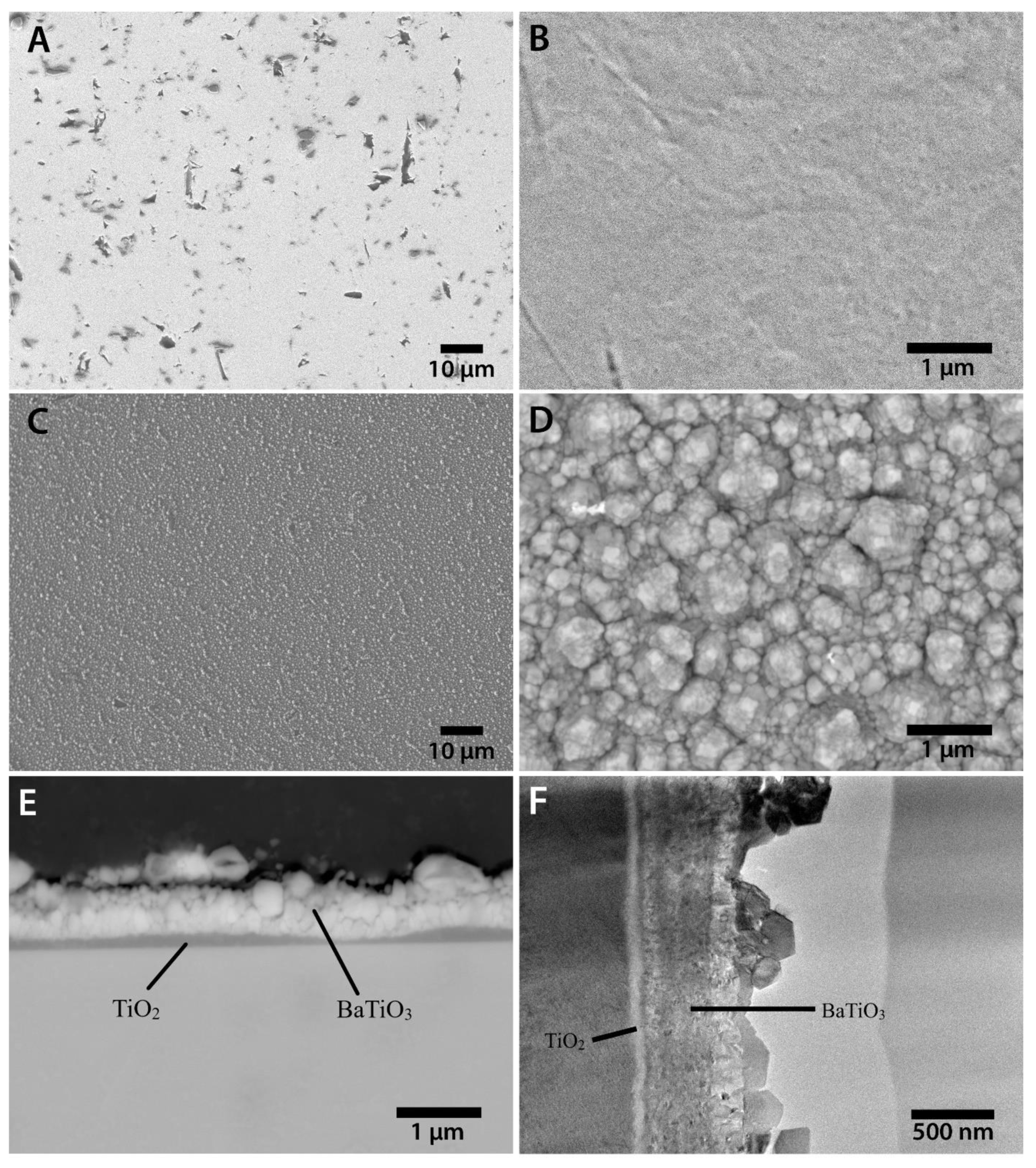 Coatings 11 00210 g001