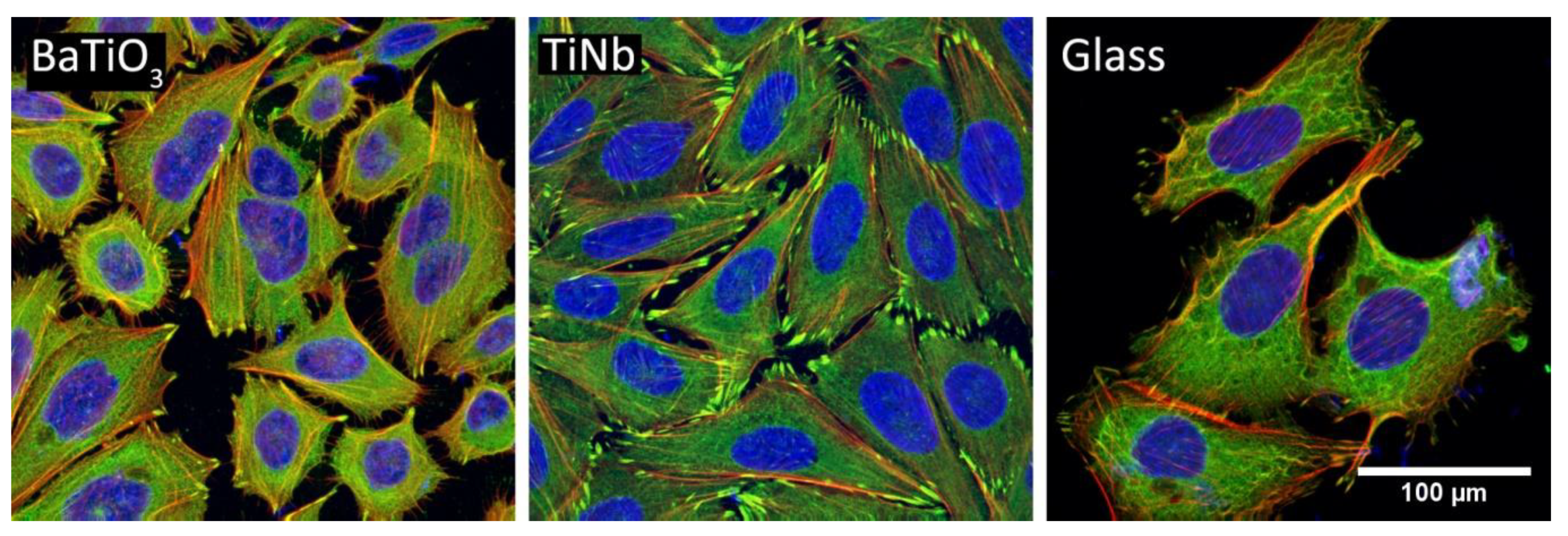 Coatings 11 00210 g011