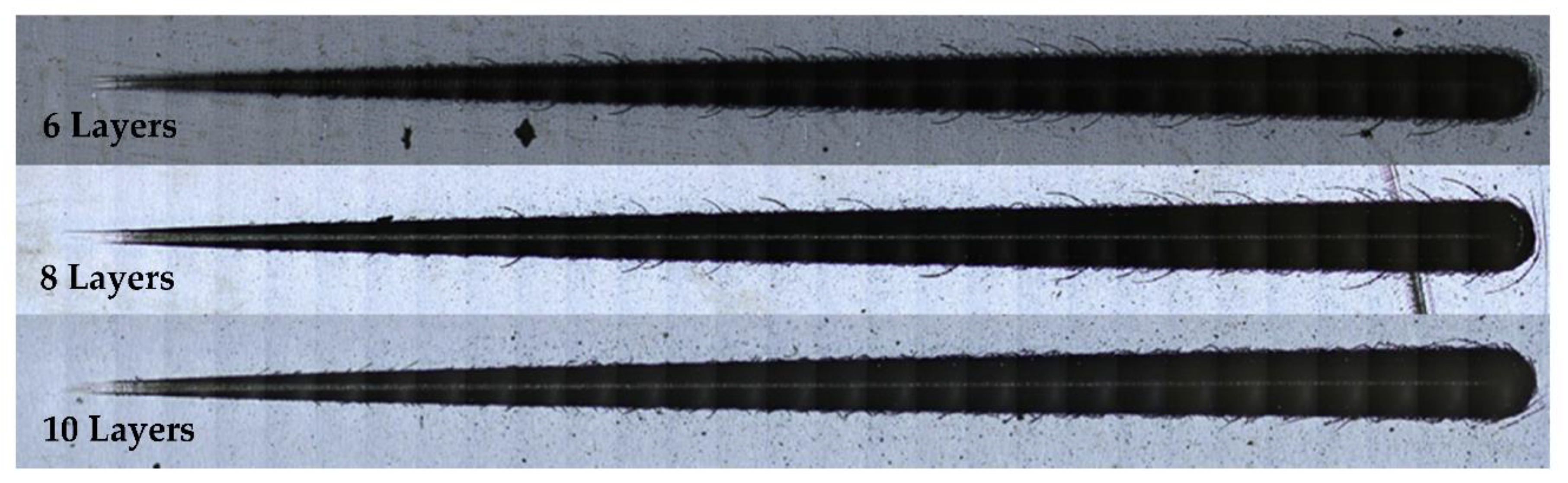 Coatings 11 00215 g007