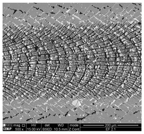 Coatings 11 00215 i001