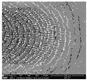 Coatings 11 00215 i002