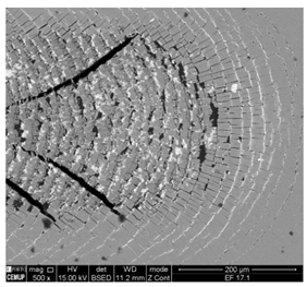 Coatings 11 00215 i006