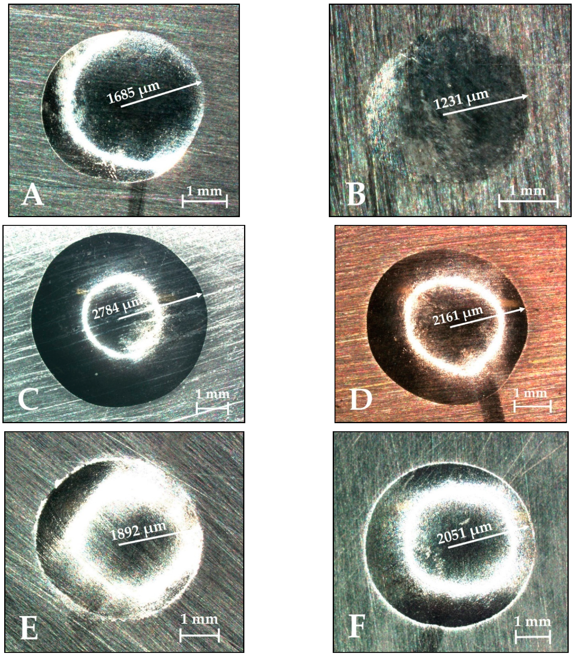 Coatings 11 00216 g005 Coatings 11 00216 g005