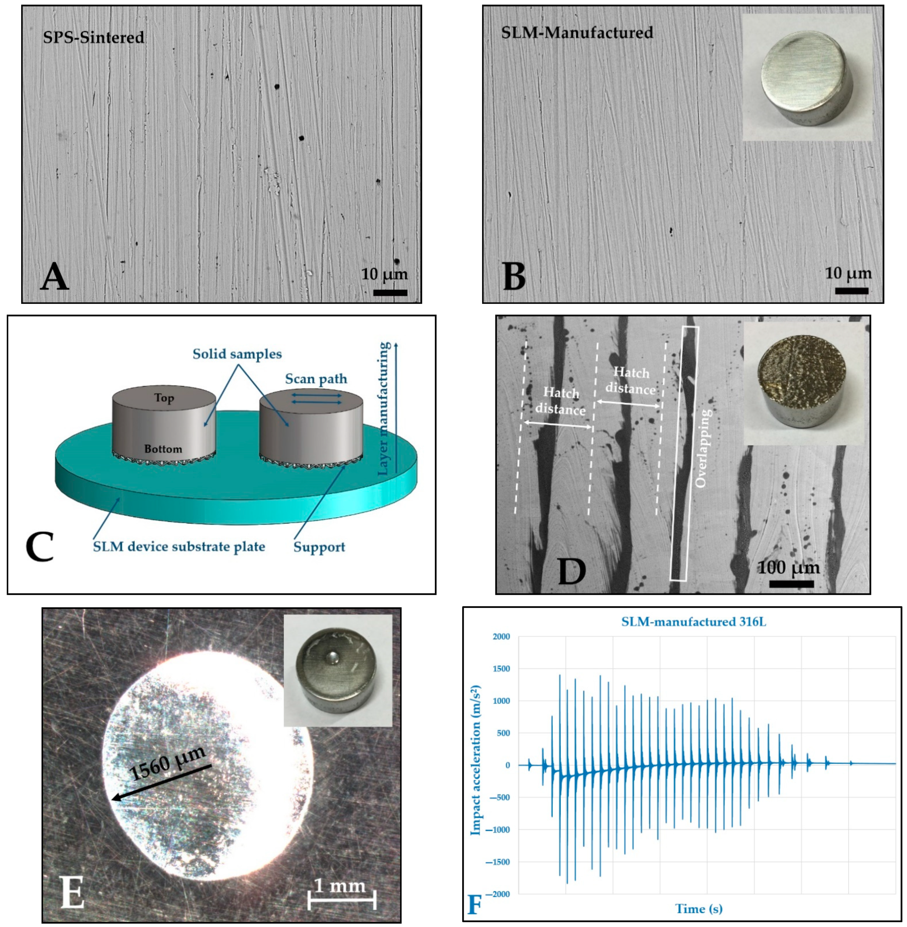 Coatings 11 00216 g007 Coatings 11 00216 g007