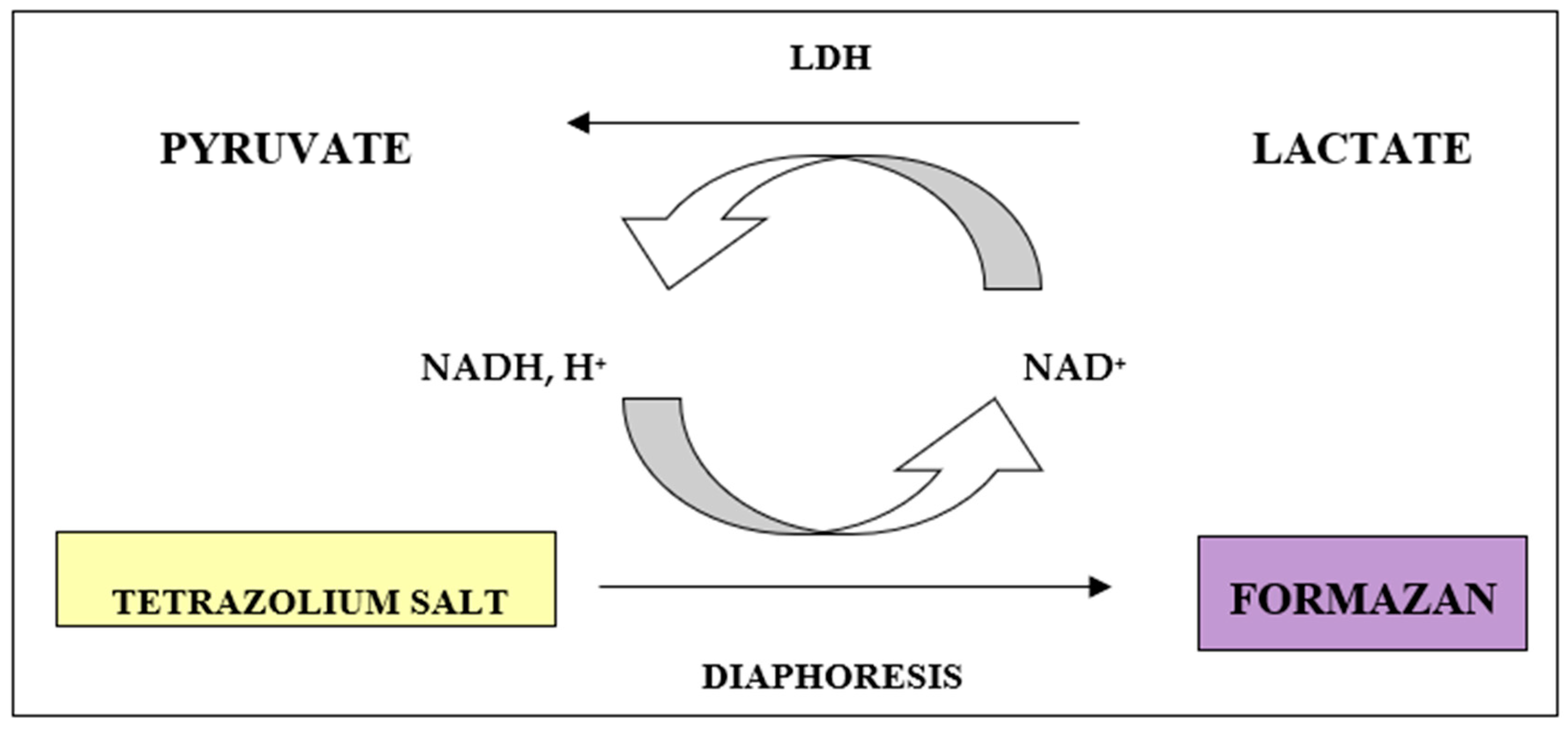 Coatings 11 00217 g001
