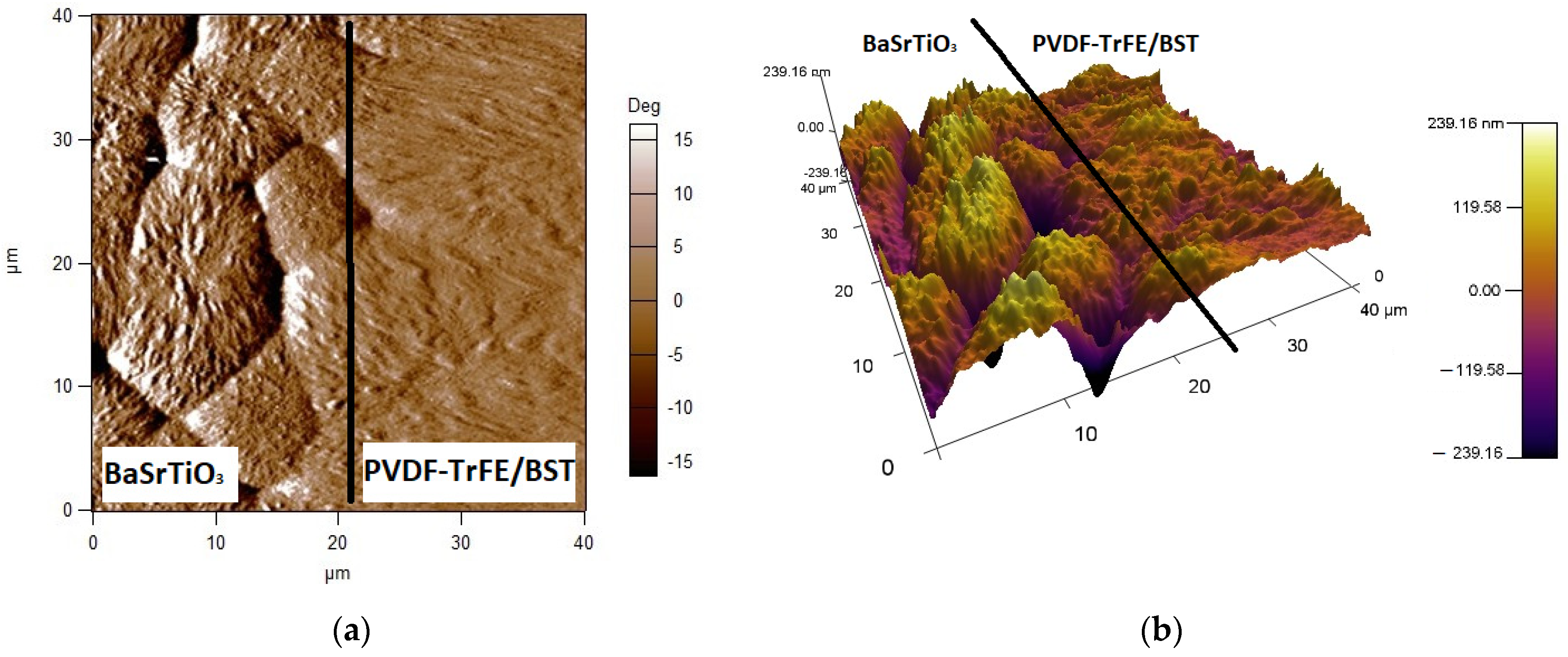 Coatings 11 00221 g014
