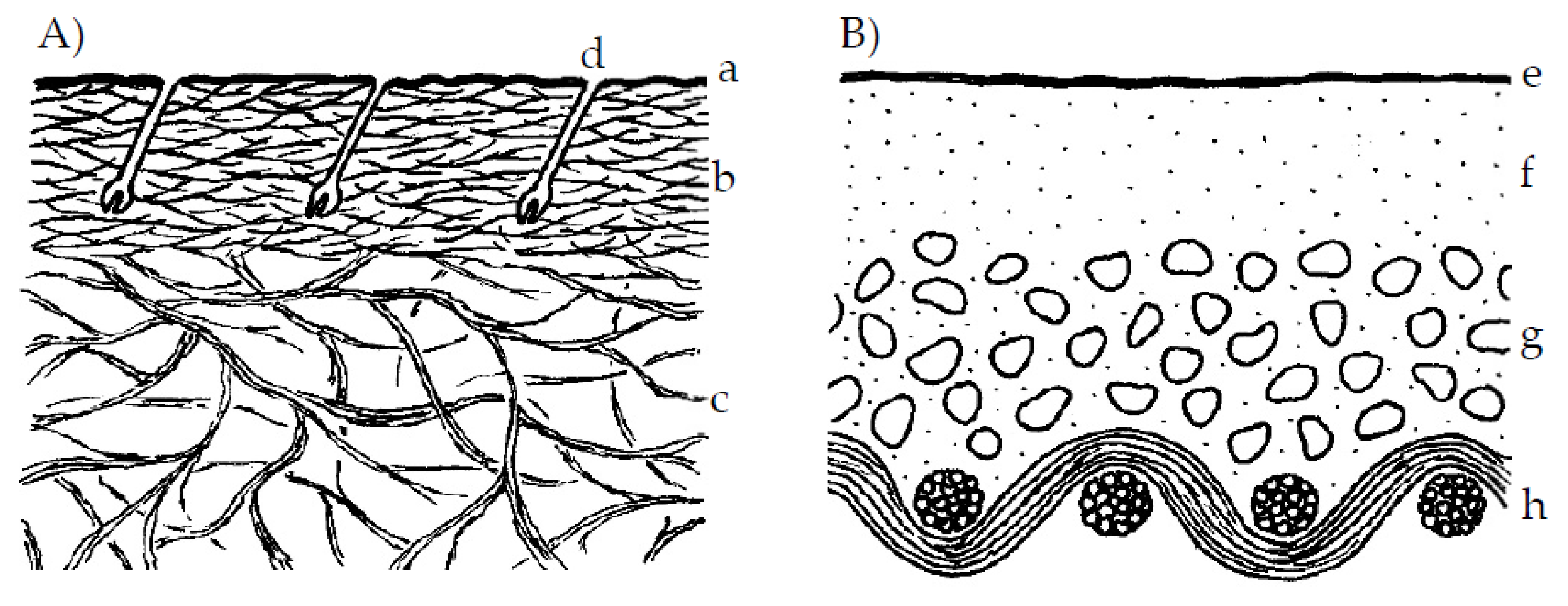 Coatings 11 00226 g001