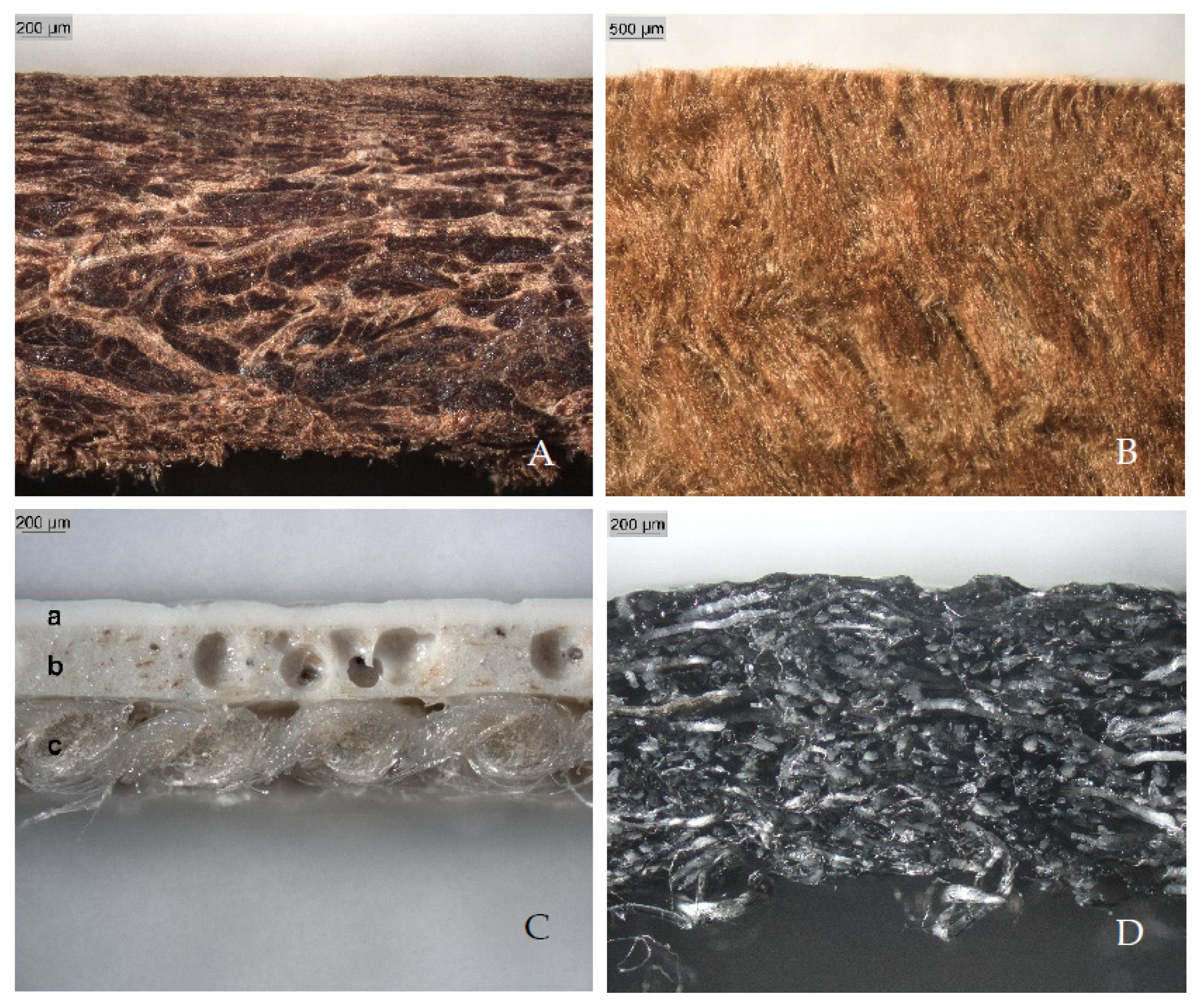 Coatings 11 00226 g002