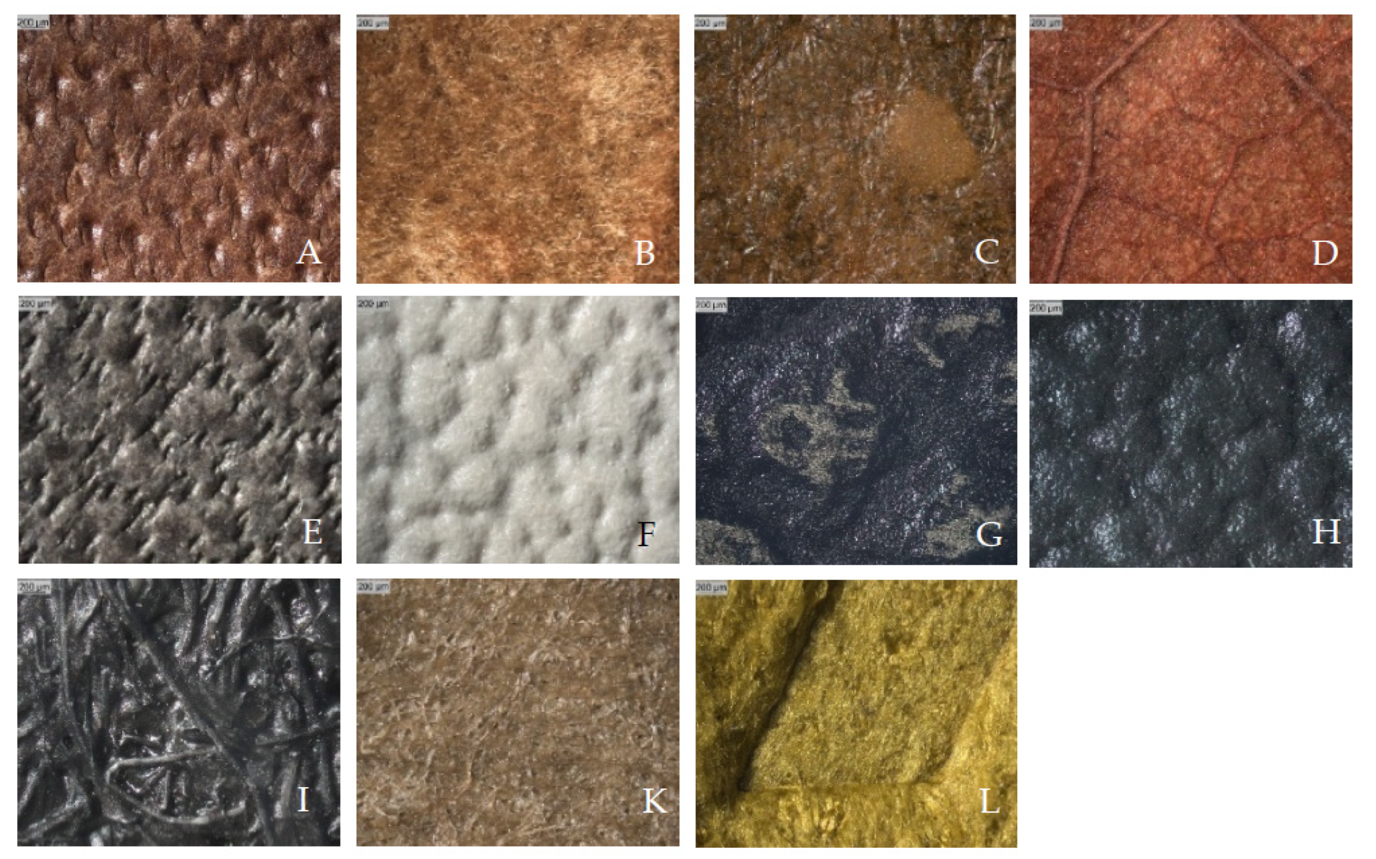 Coatings 11 00226 g003