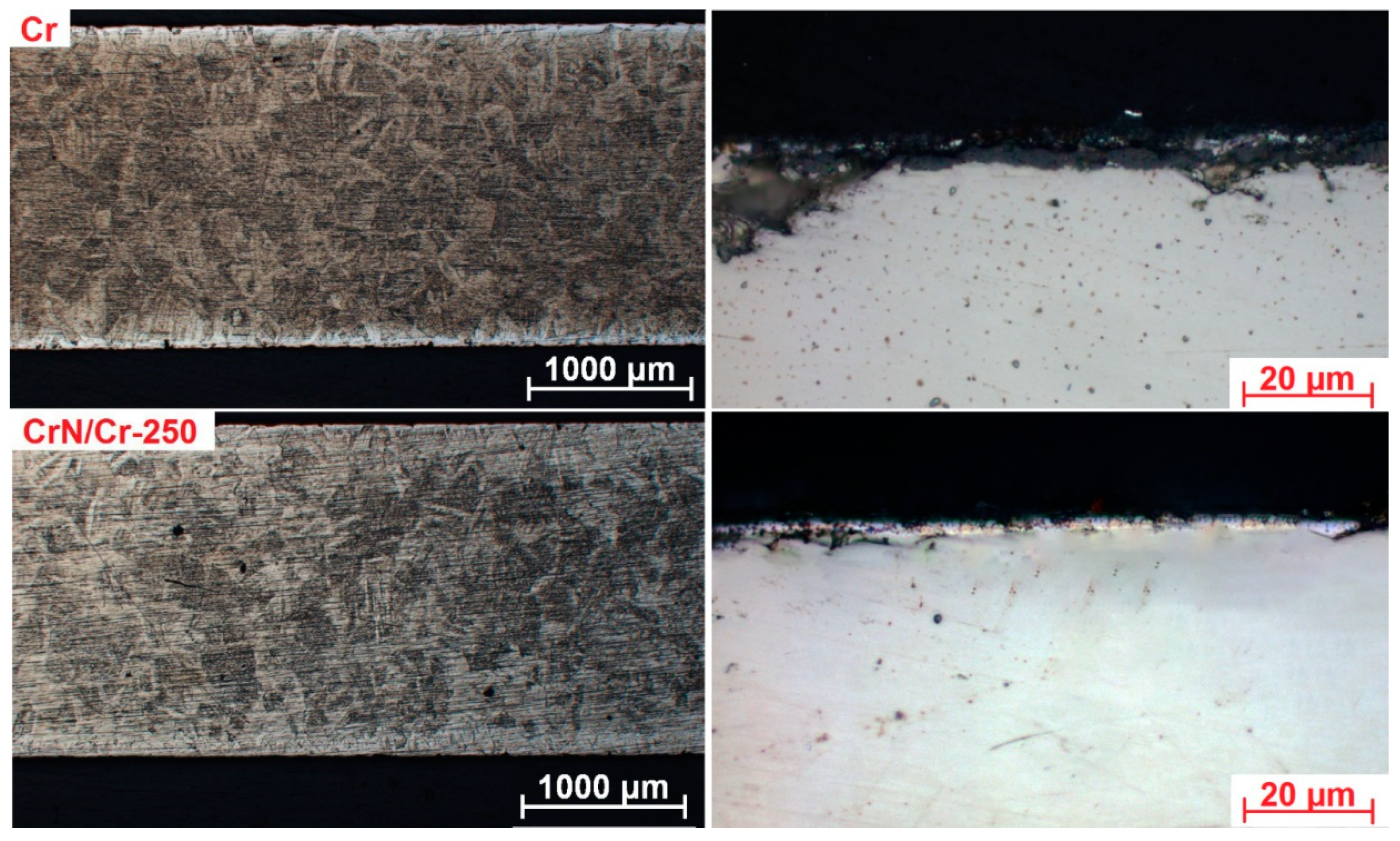 Coatings 11 00227 g005 Coatings 11 00227 g005