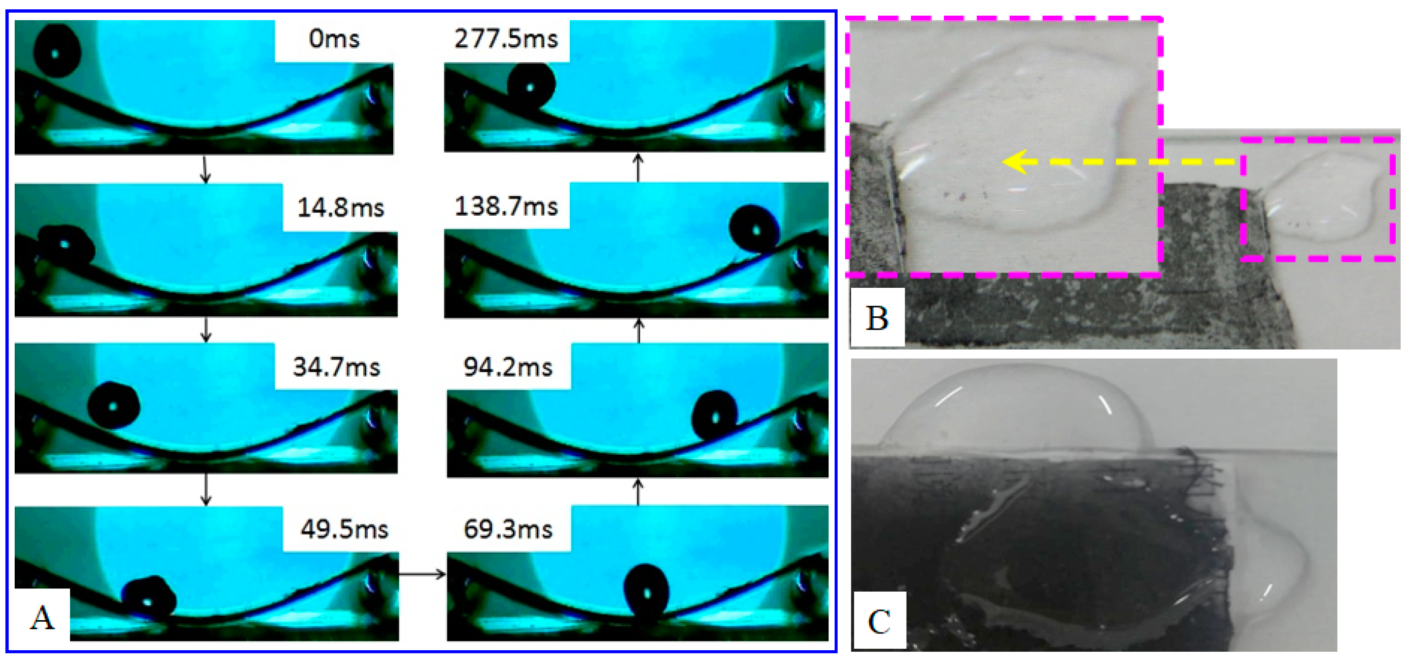 Coatings 11 00228 g003 Coatings 11 00228 g003