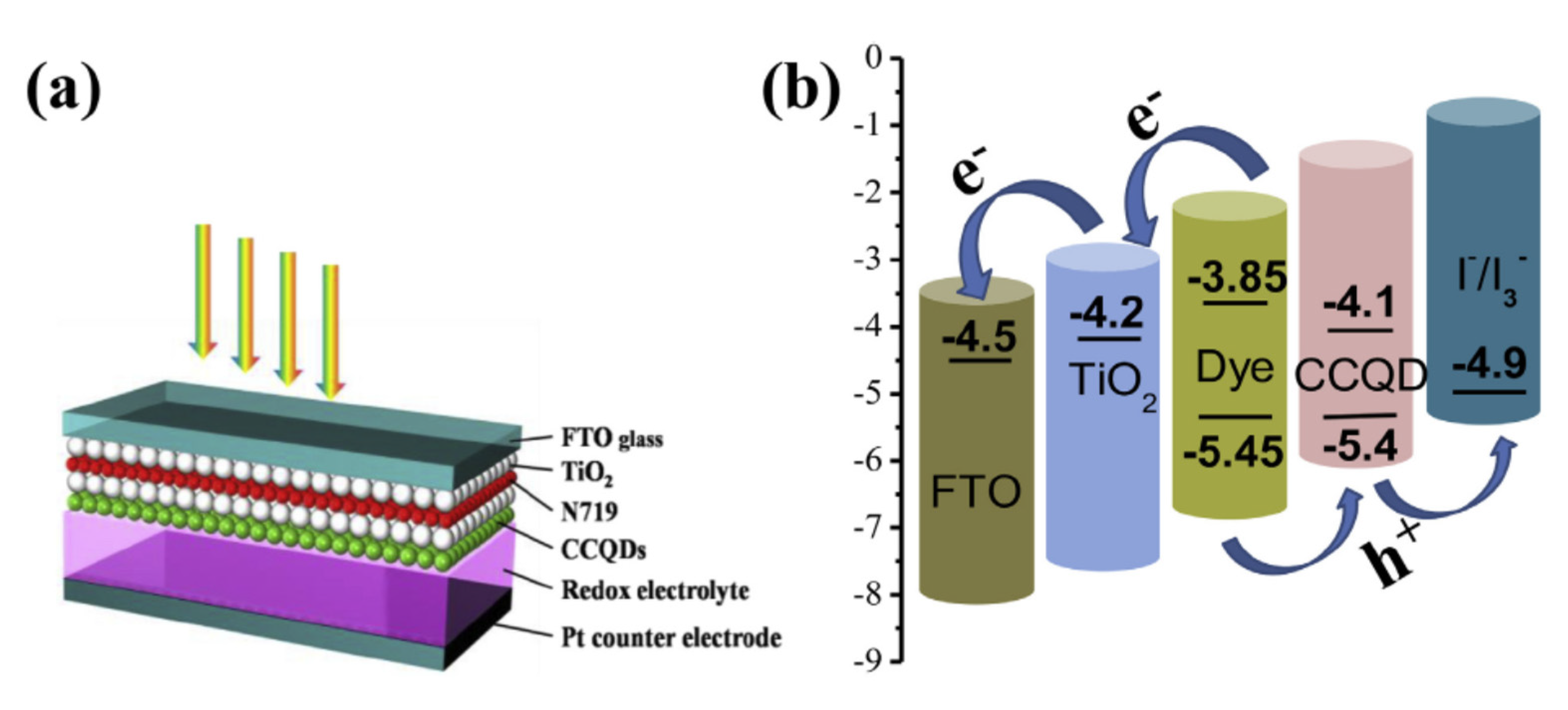 The Role of Carbon Quantum Dots in Organic Photovoltaics: A