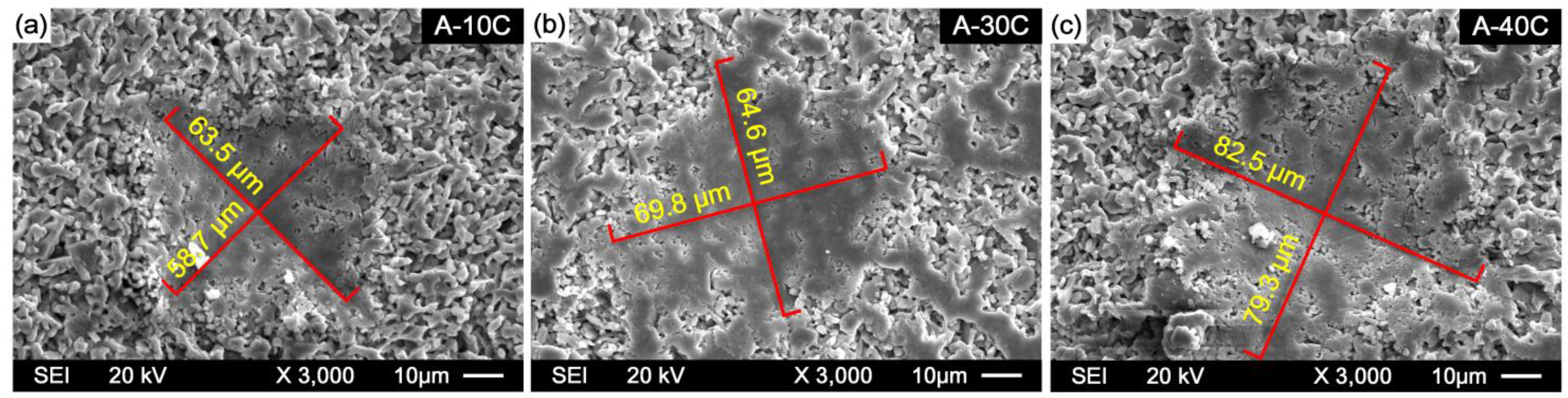 Coatings 11 00234 g006