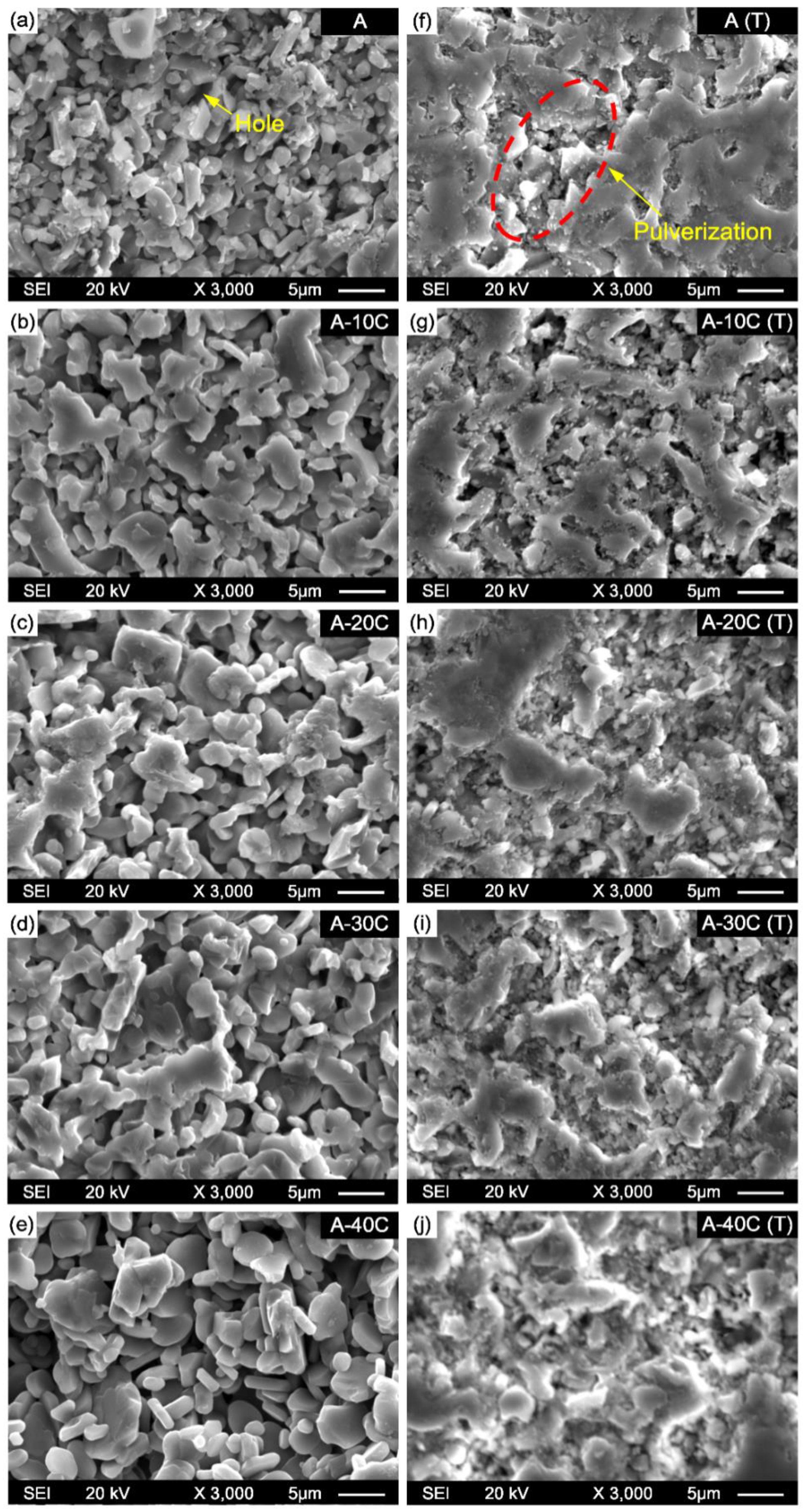 Coatings 11 00234 g010