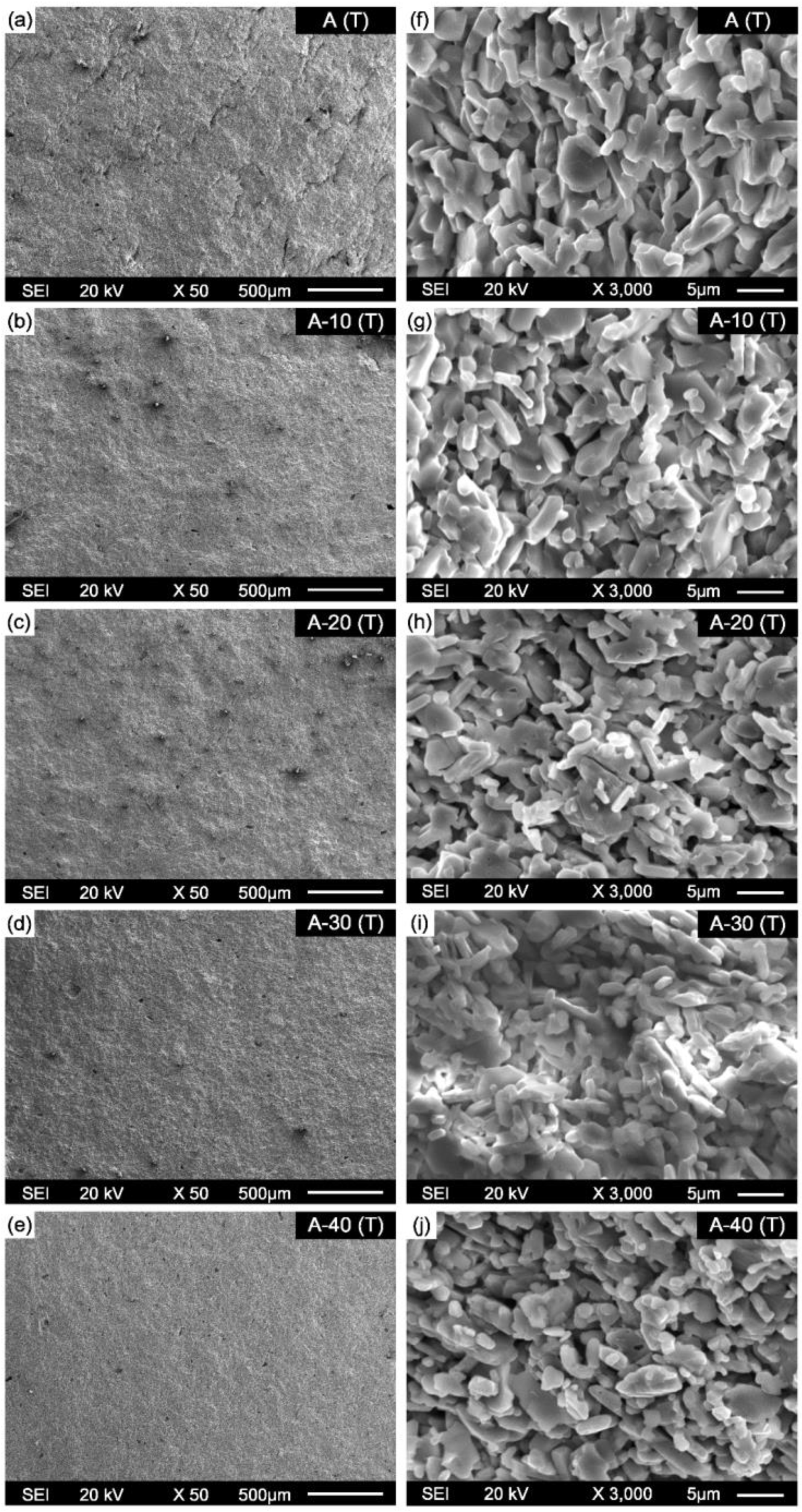 Coatings 11 00234 g012