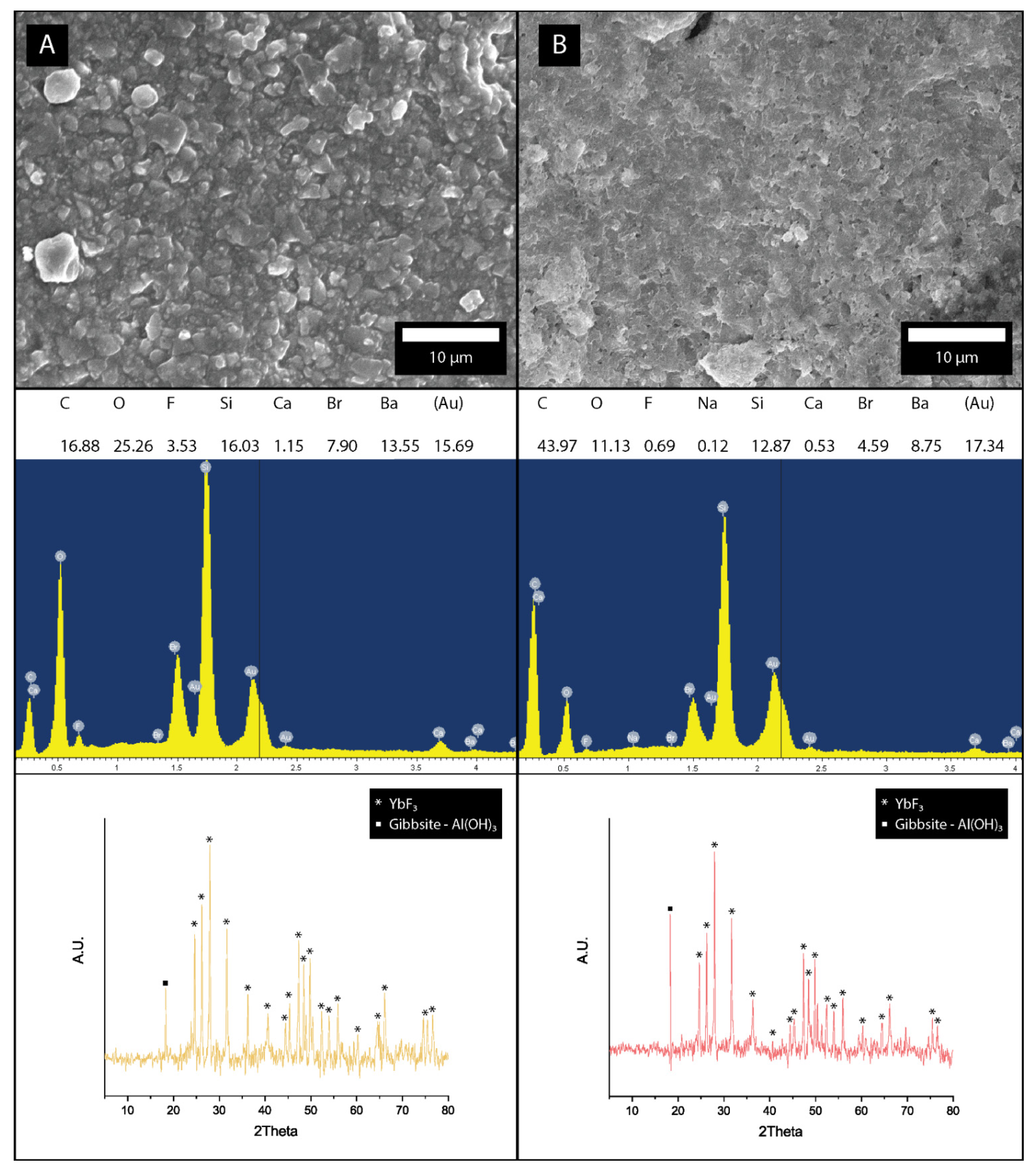 Coatings 11 00235 g004