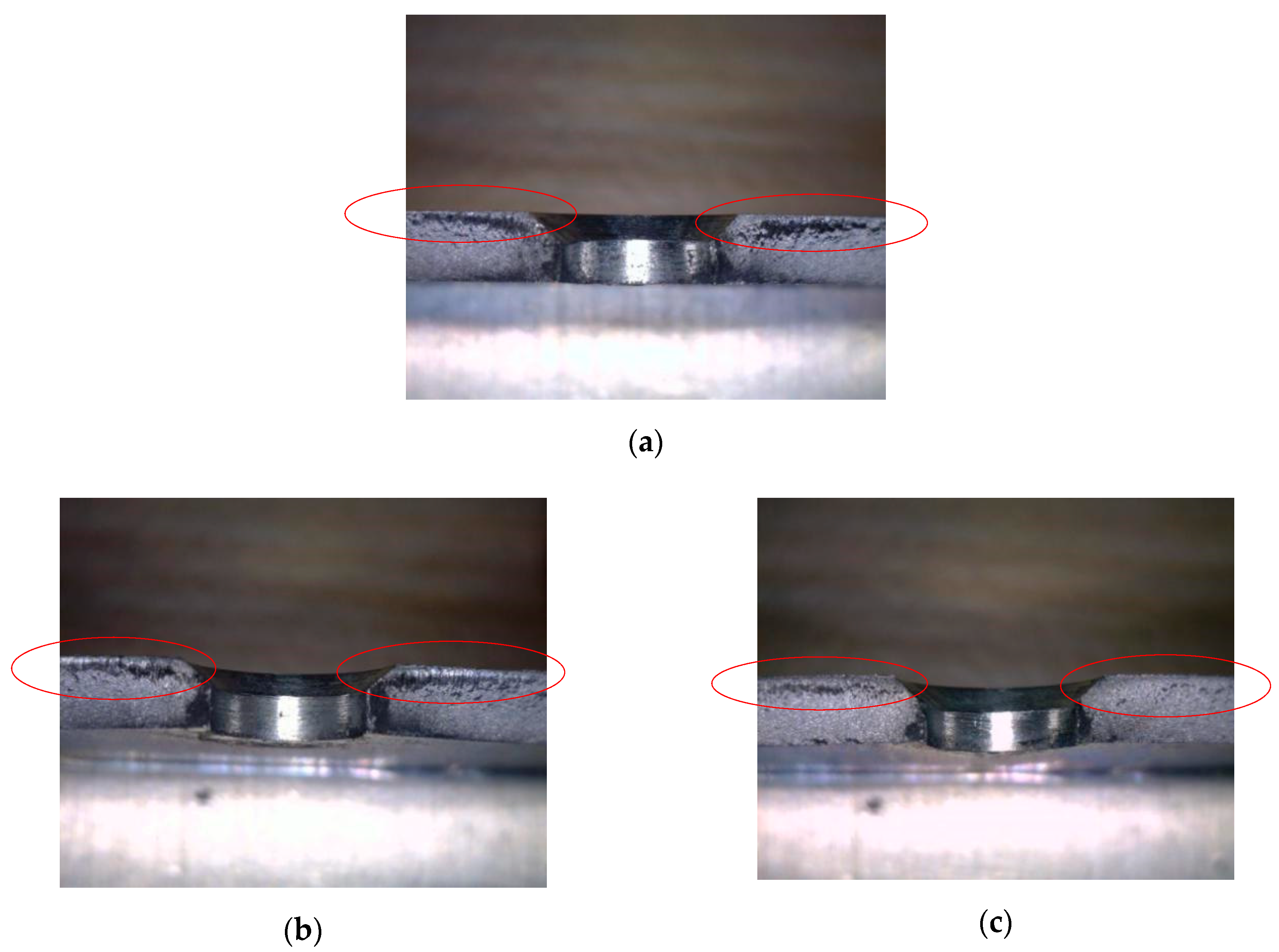 Coatings 11 00236 g016 550