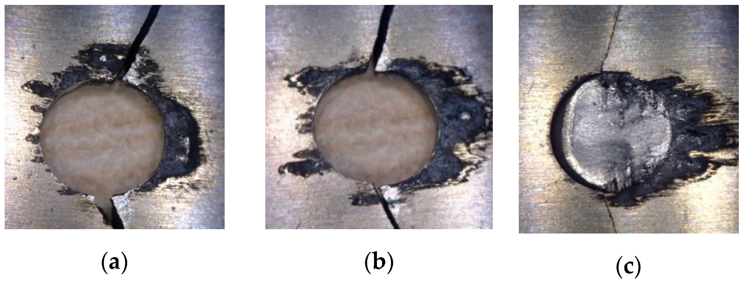 Coatings 11 00236 g018 550