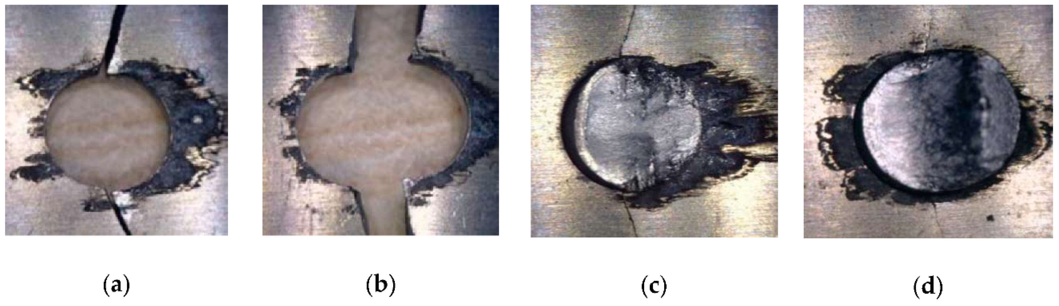 Coatings 11 00236 g020 550