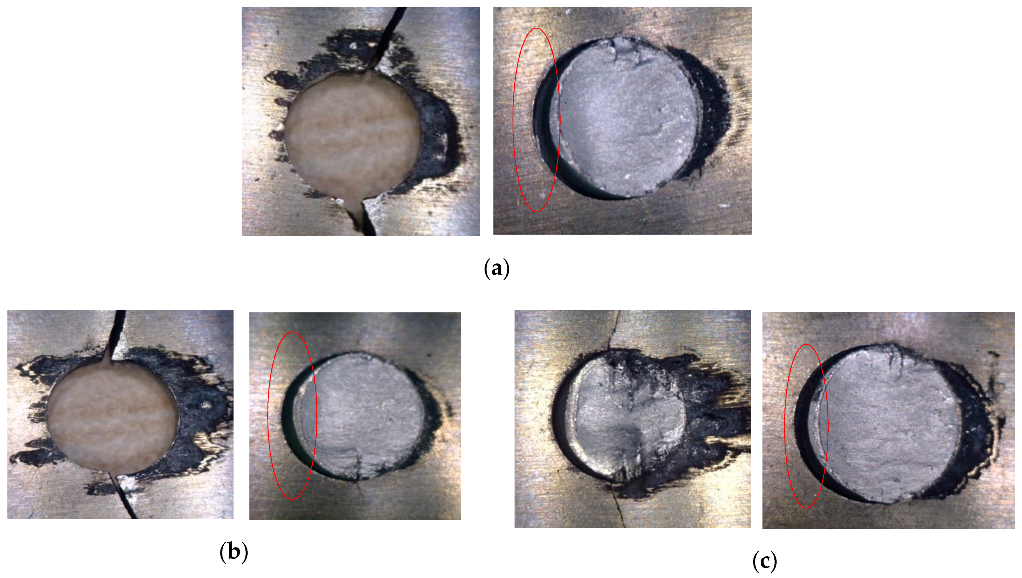 Coatings 11 00236 g022 550