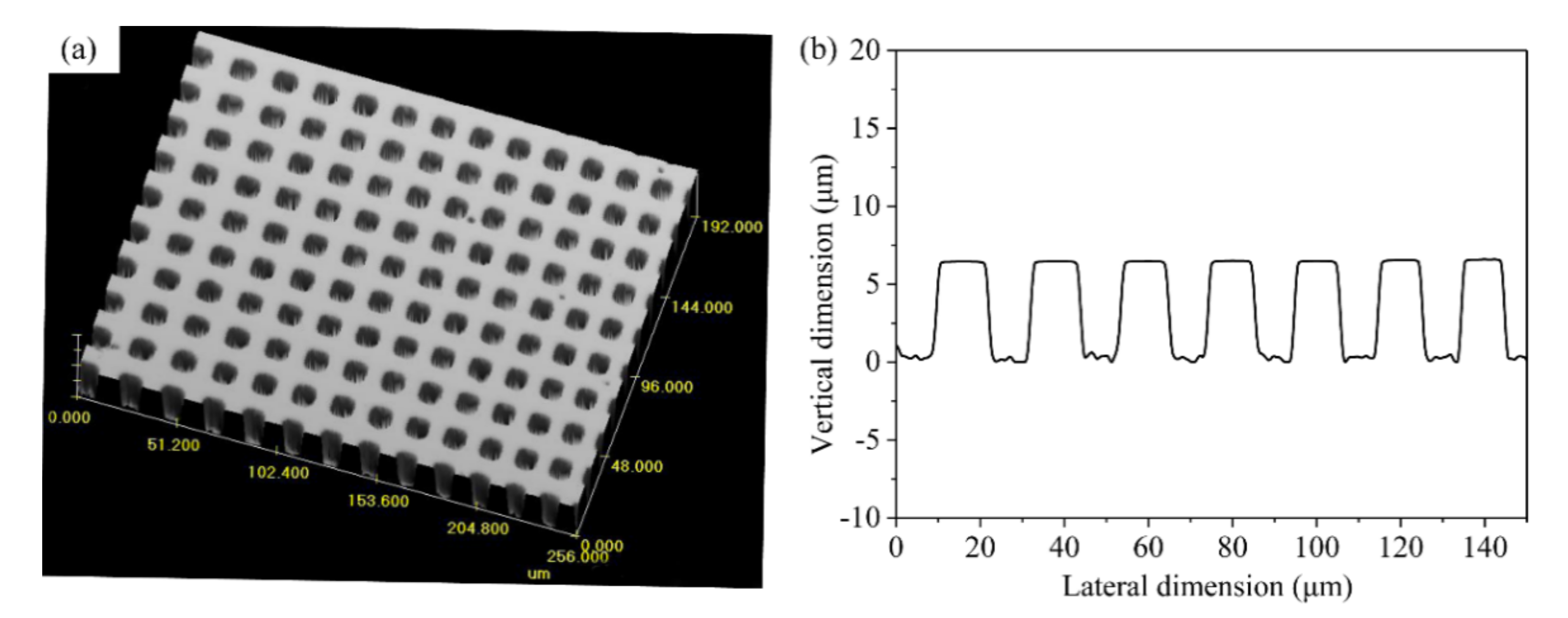 Coatings 11 00238 g002