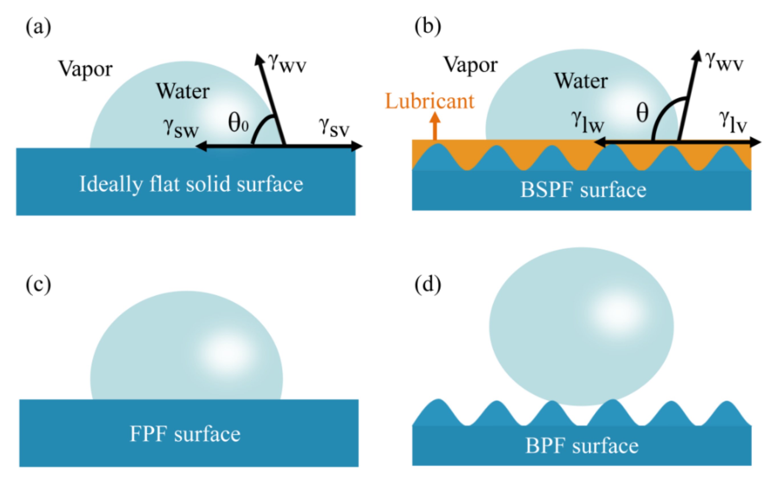 Coatings 11 00238 g004